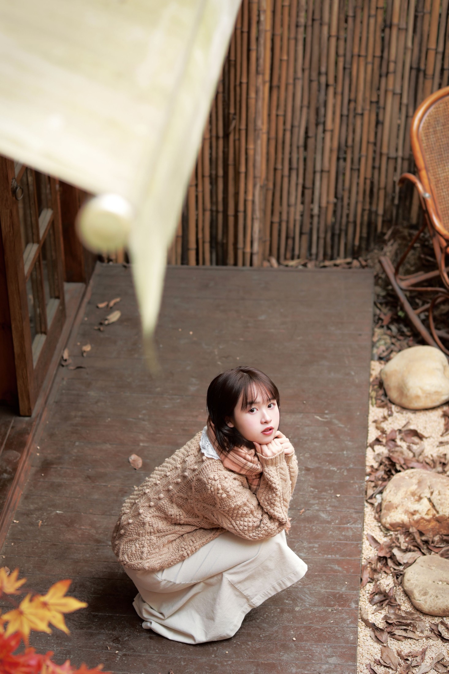 大元梦二 – 《秋的临终》[24P]