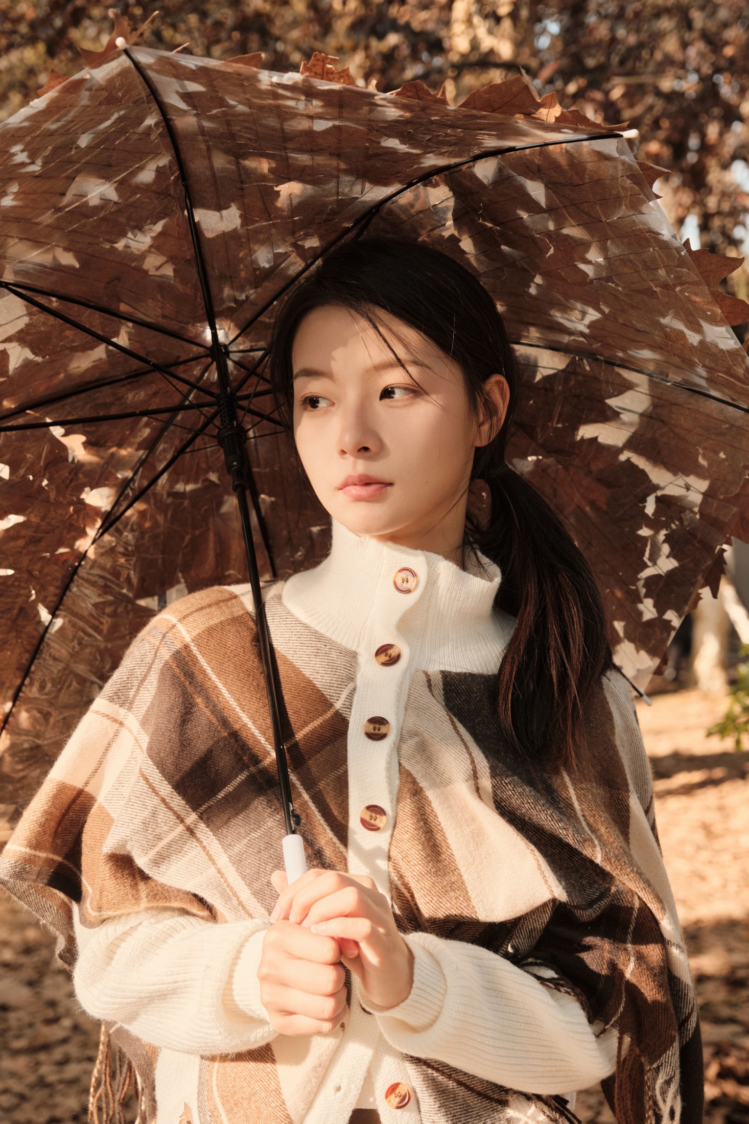 蝴蝶妹妹 – 《秋日落叶》[34P]