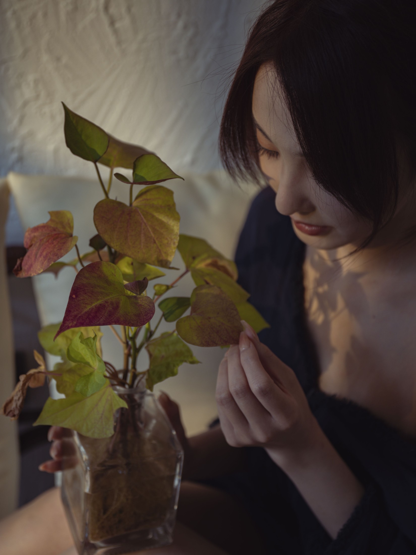 文文子 – 《金秋会凋谢》[25P]