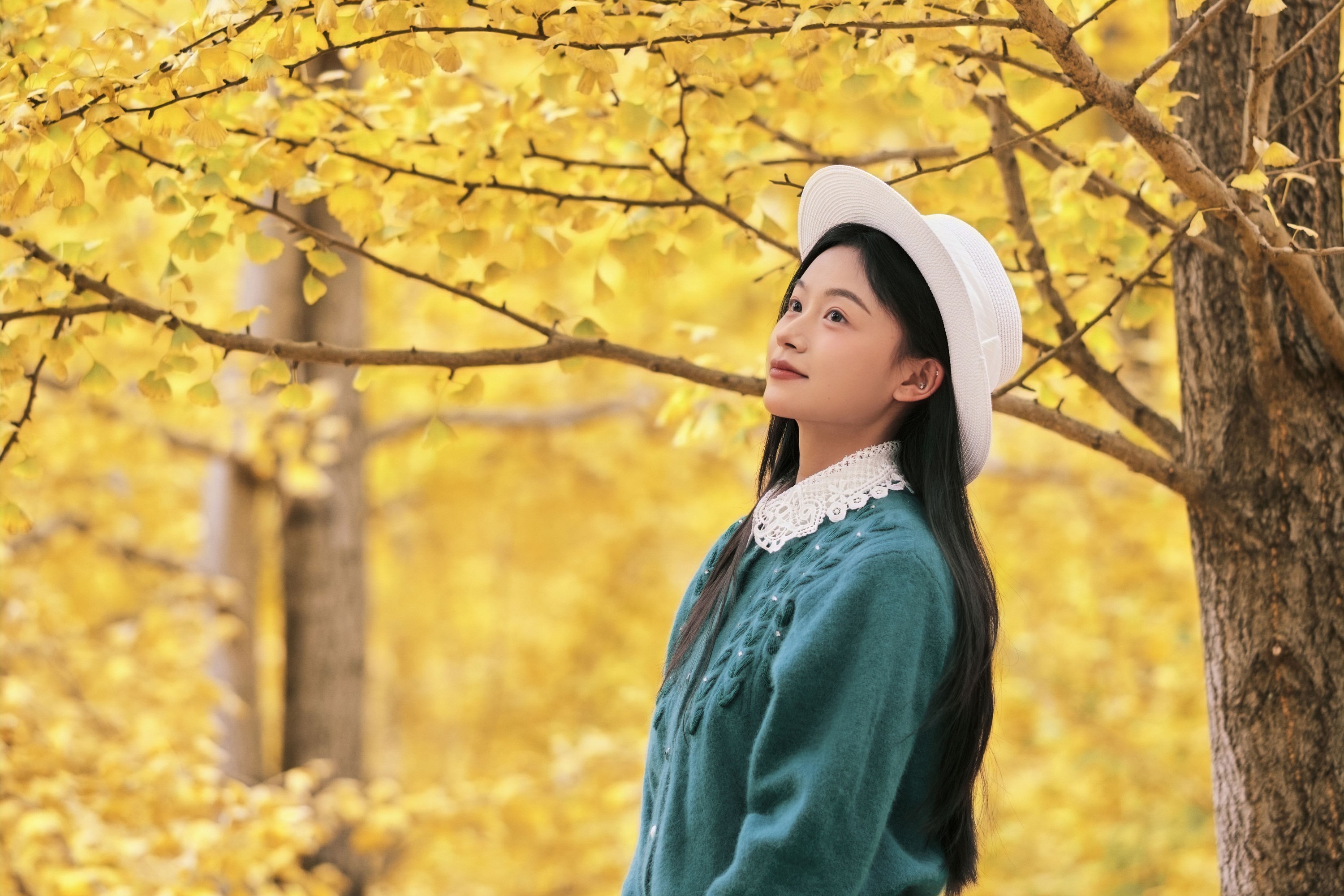 小番茄 – 《复古银杏》[22P]