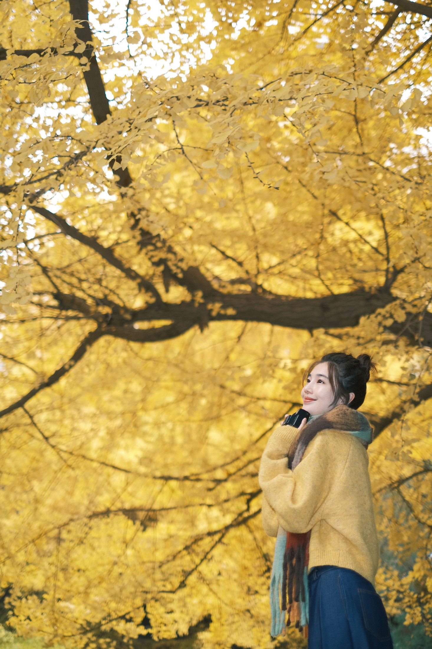 凡凡 – 《窗边秋色》[22P]