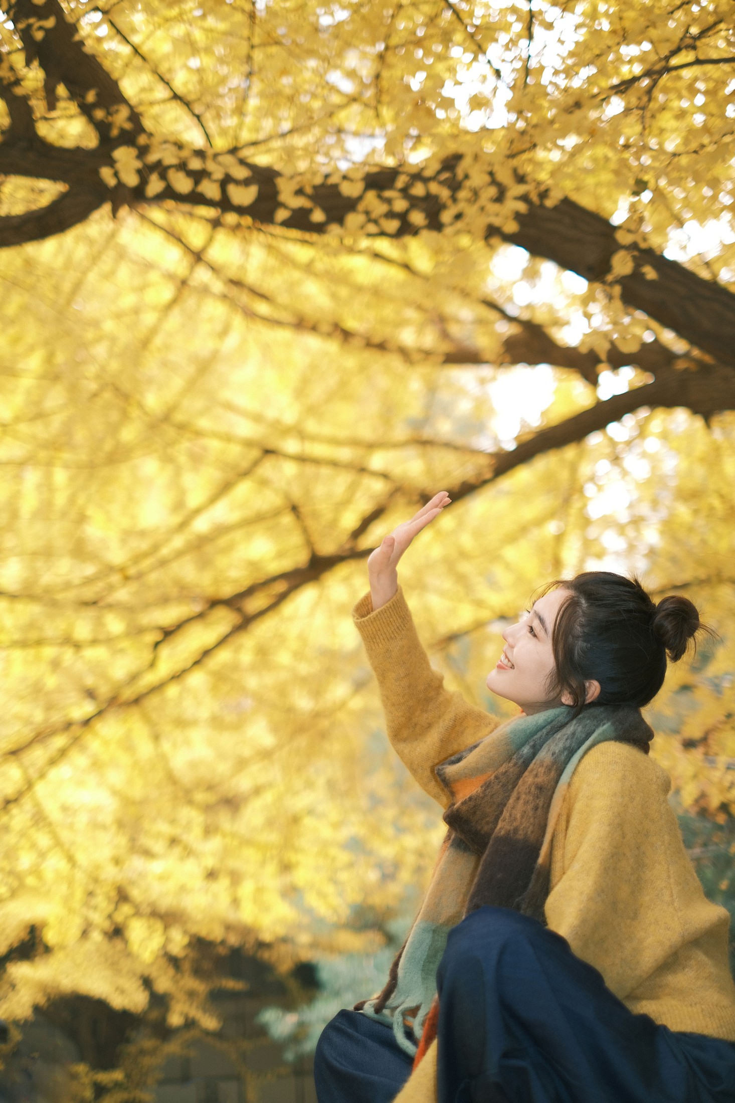 凡凡 – 《窗边秋色》[22P]