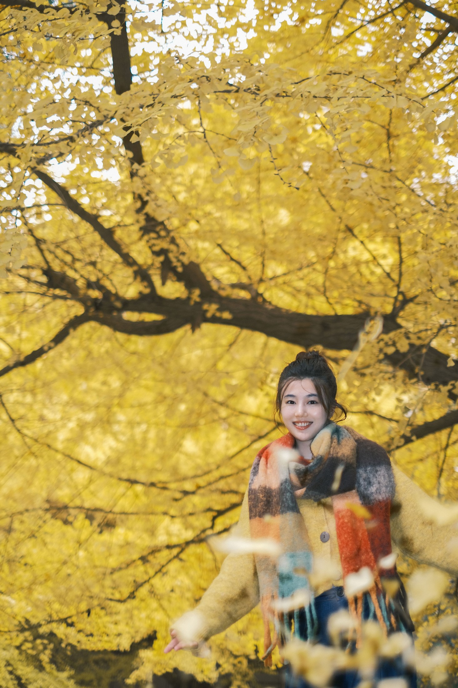 凡凡 – 《窗边秋色》[22P]