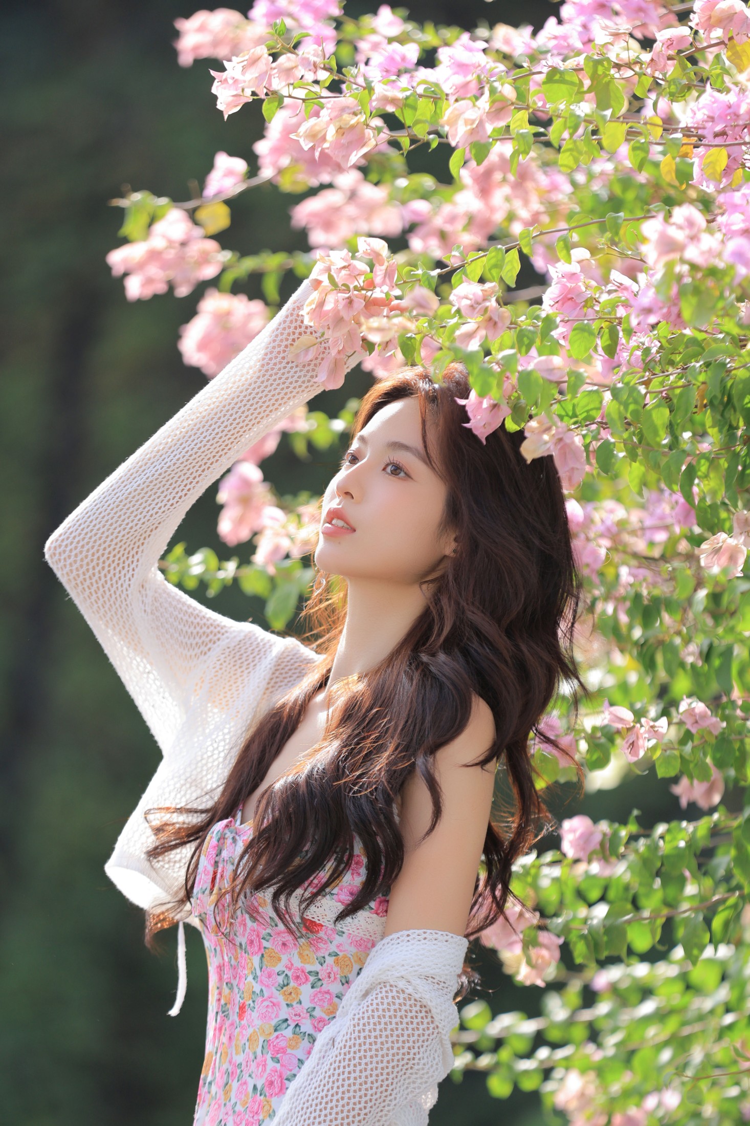 林士真 – 《春天来了又来》[22P]