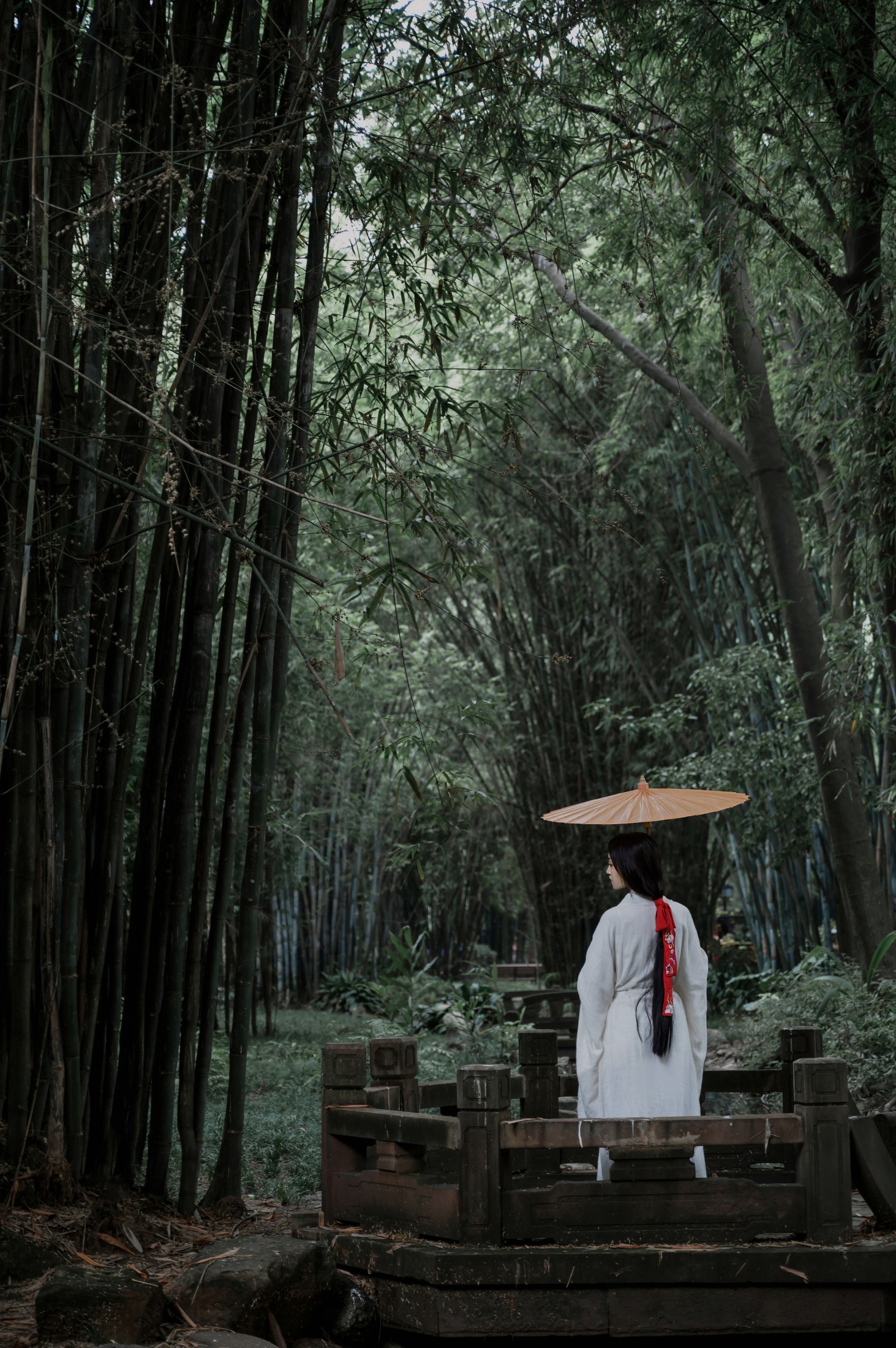 瑾年 – 《清竹》[16P]