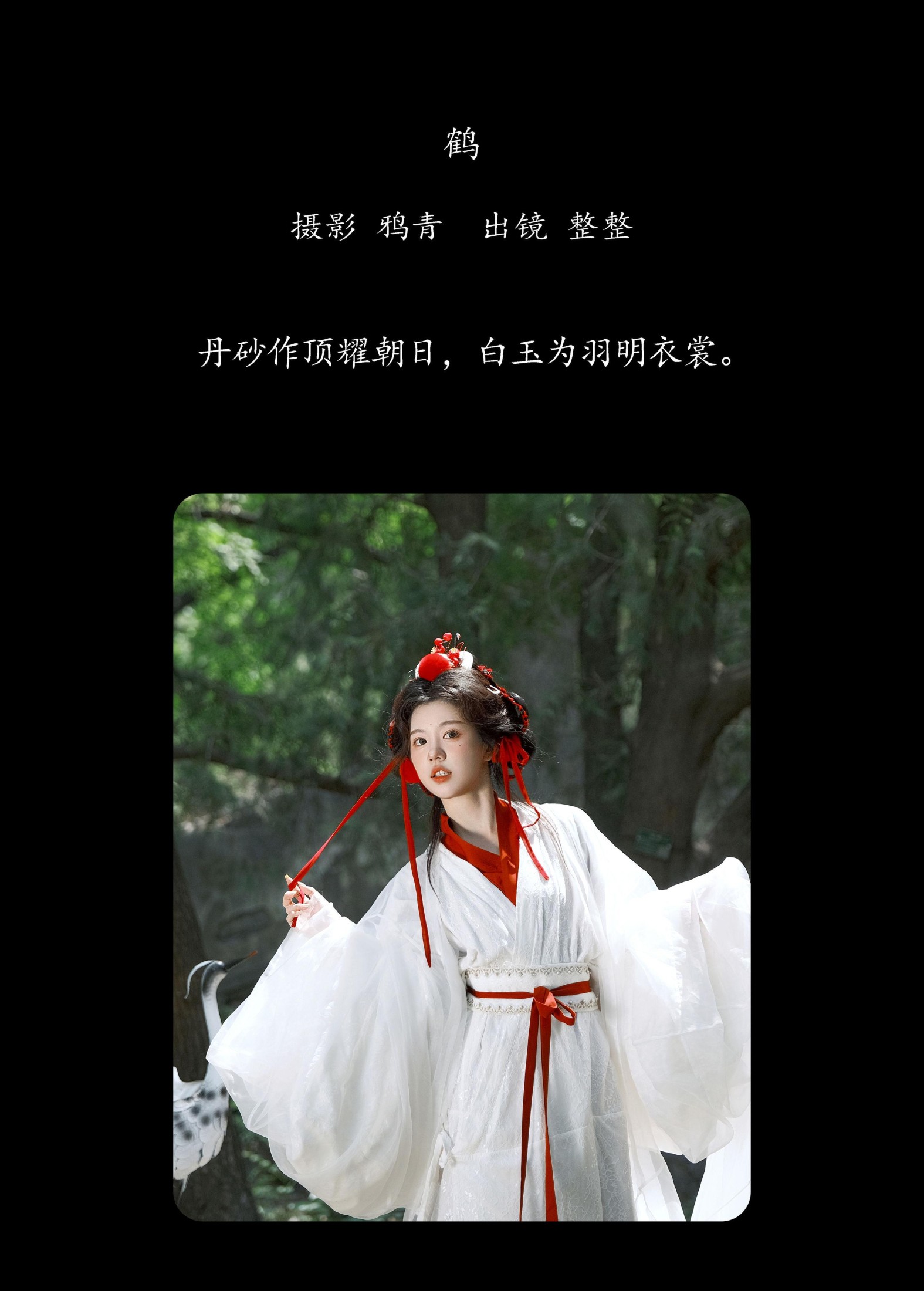 整整 – 《鹤》[22P]