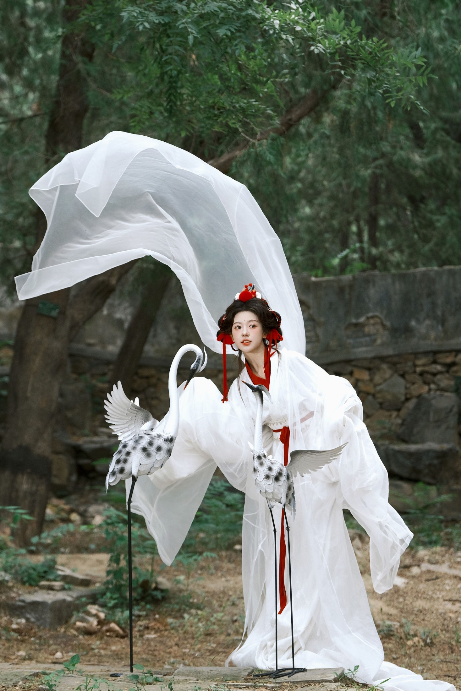 整整 – 《鹤》[22P]