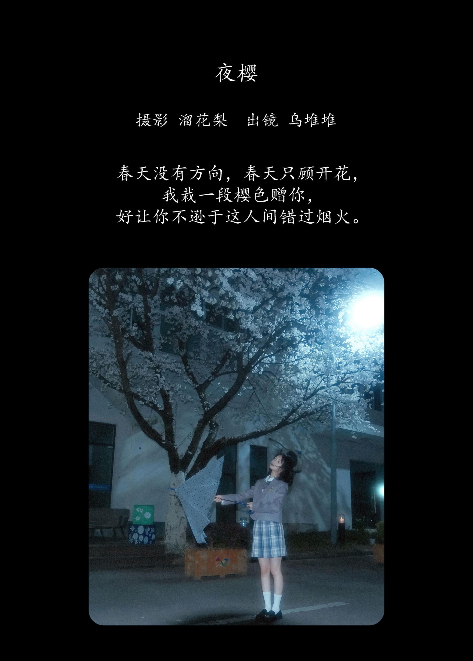 乌堆少女 – 《夜樱》[25P]