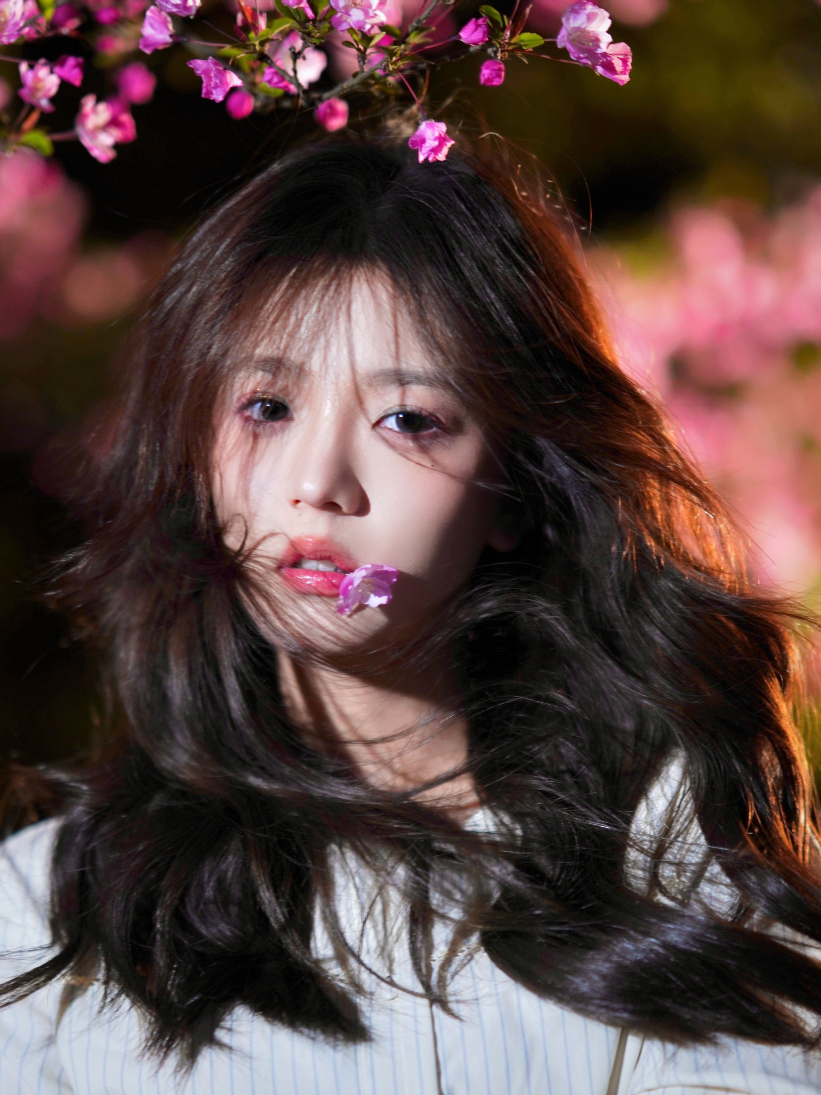 Enndme – 《海棠花开》[16P]