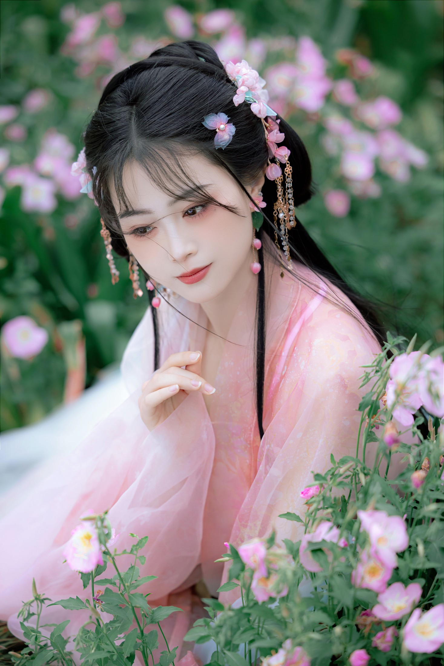 安风 – 《蔷薇》[21P]