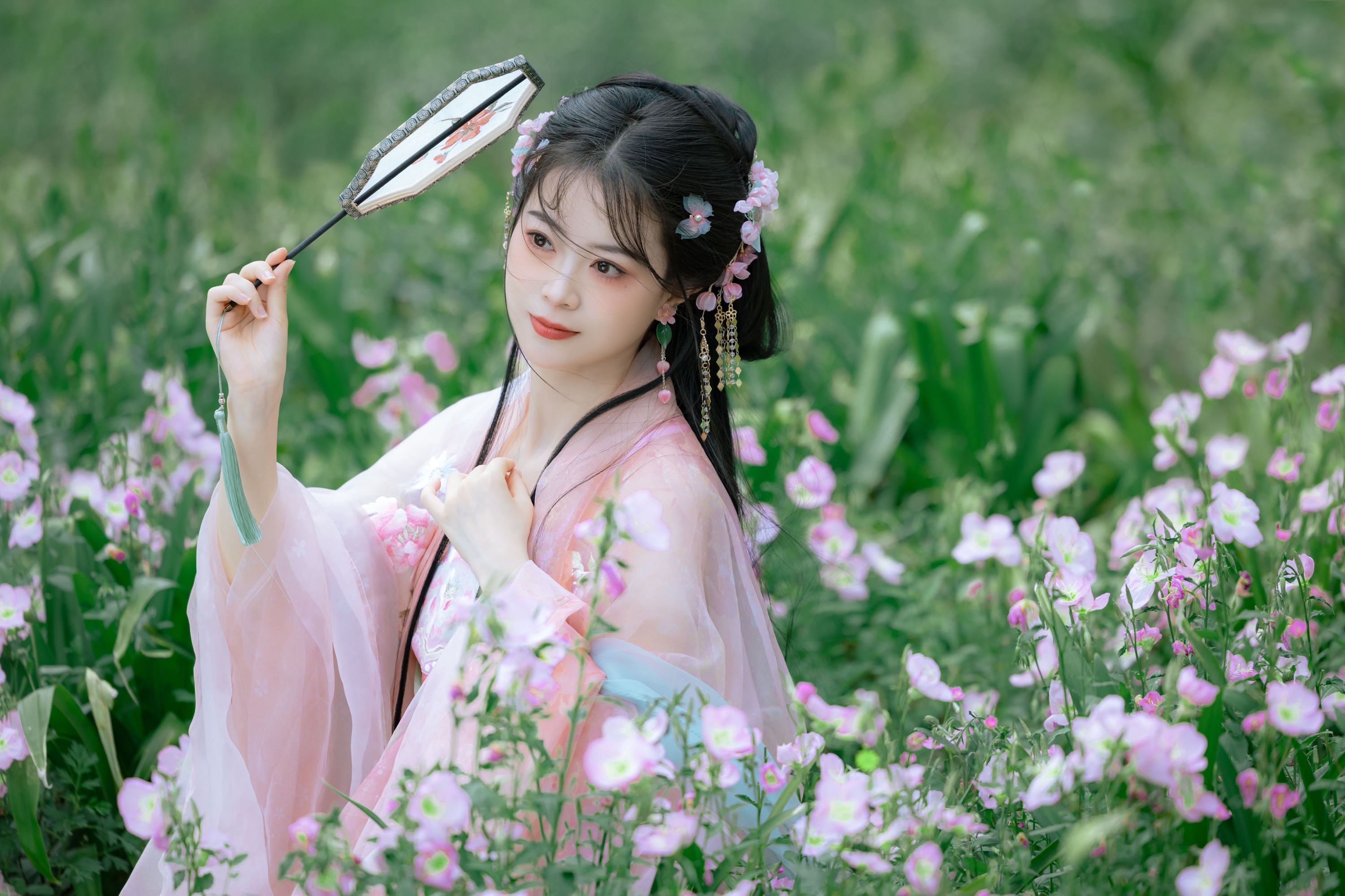 安风 – 《蔷薇》[21P]