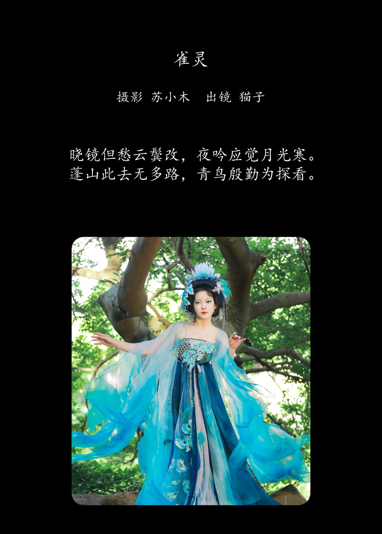 猫子子 – 《雀灵》[22P]