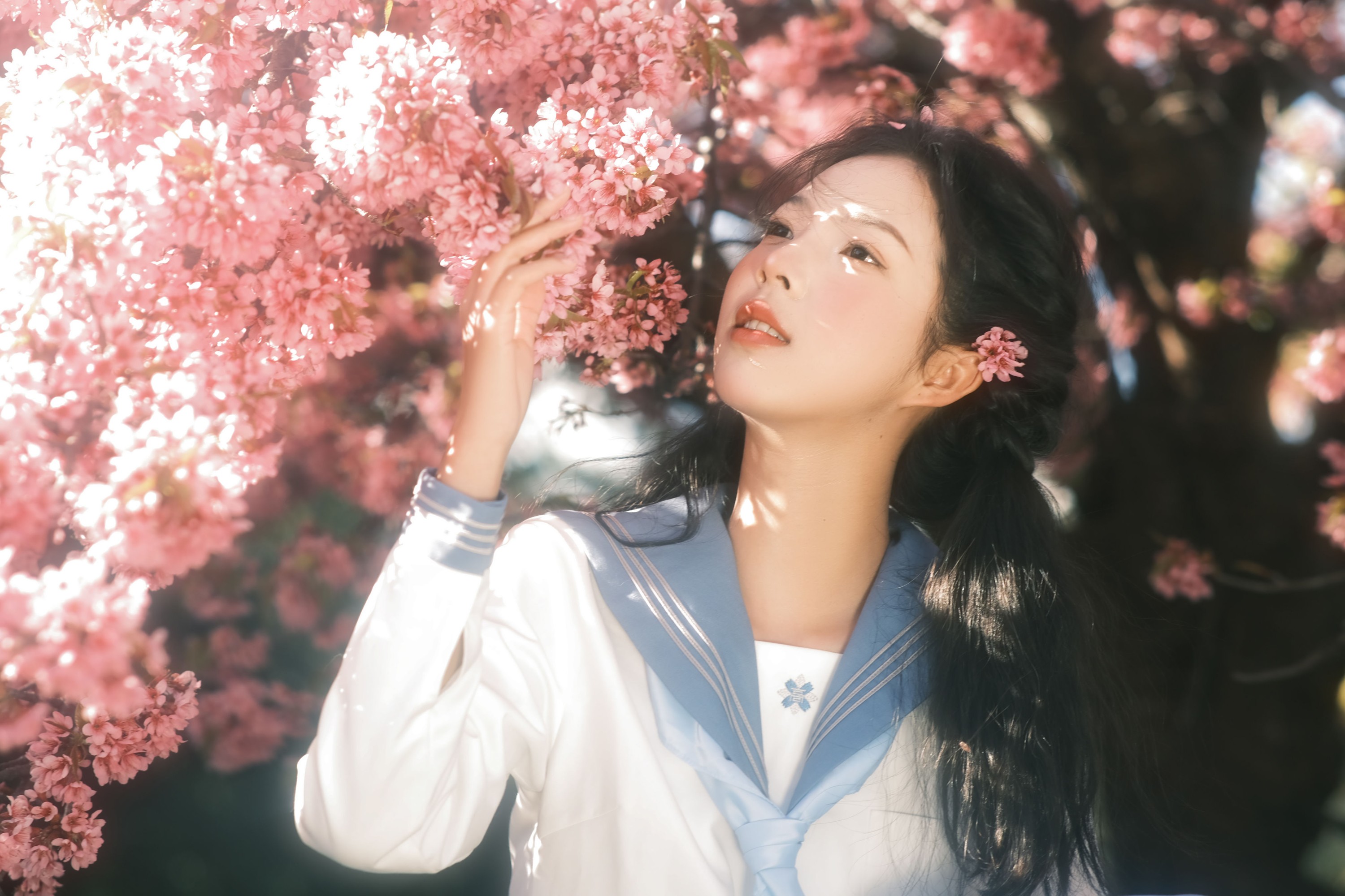 乐意李 – 《幸得樱花三月雨》[22P]