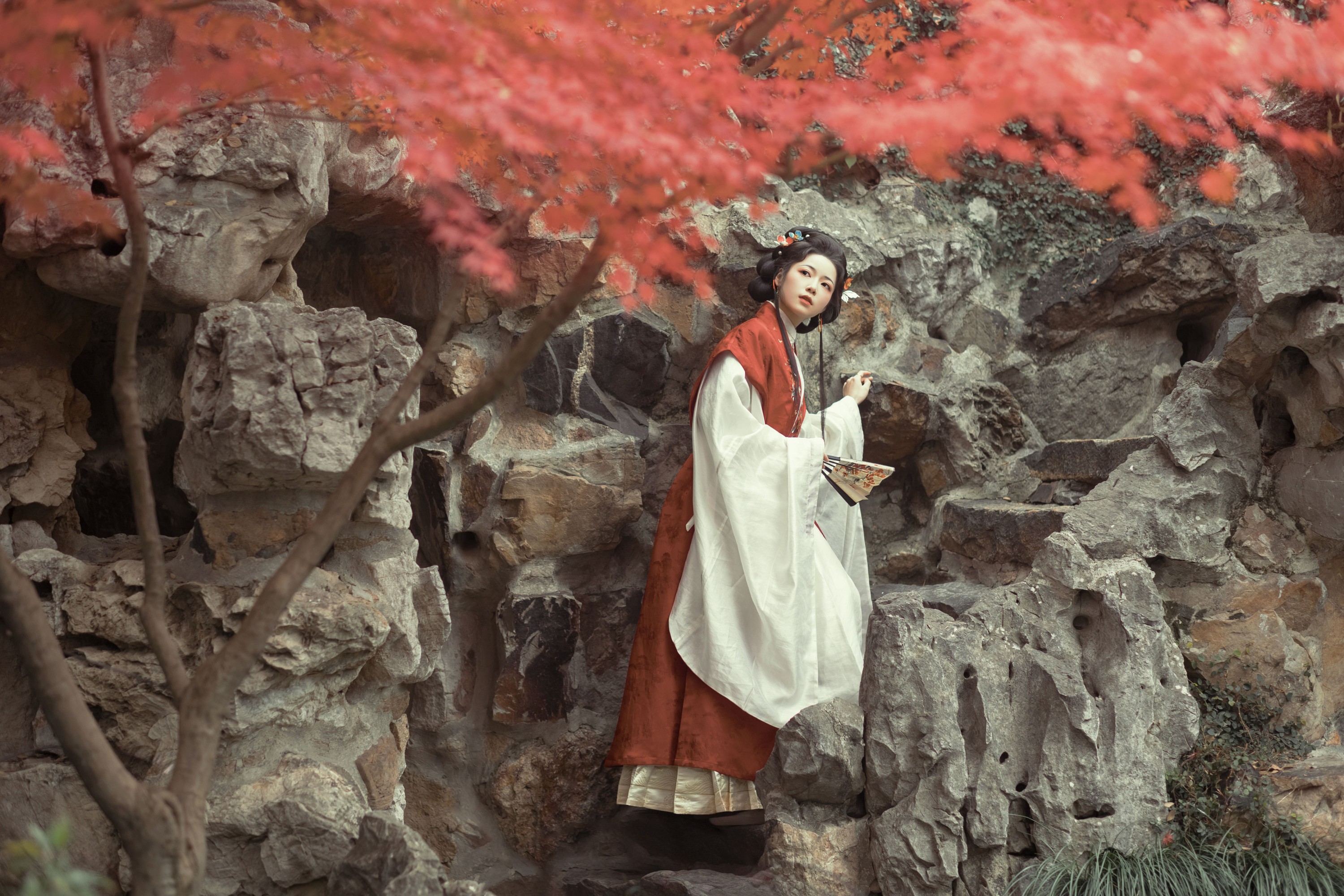 啊秋秋秋 – 《晚秋枫》[45P]