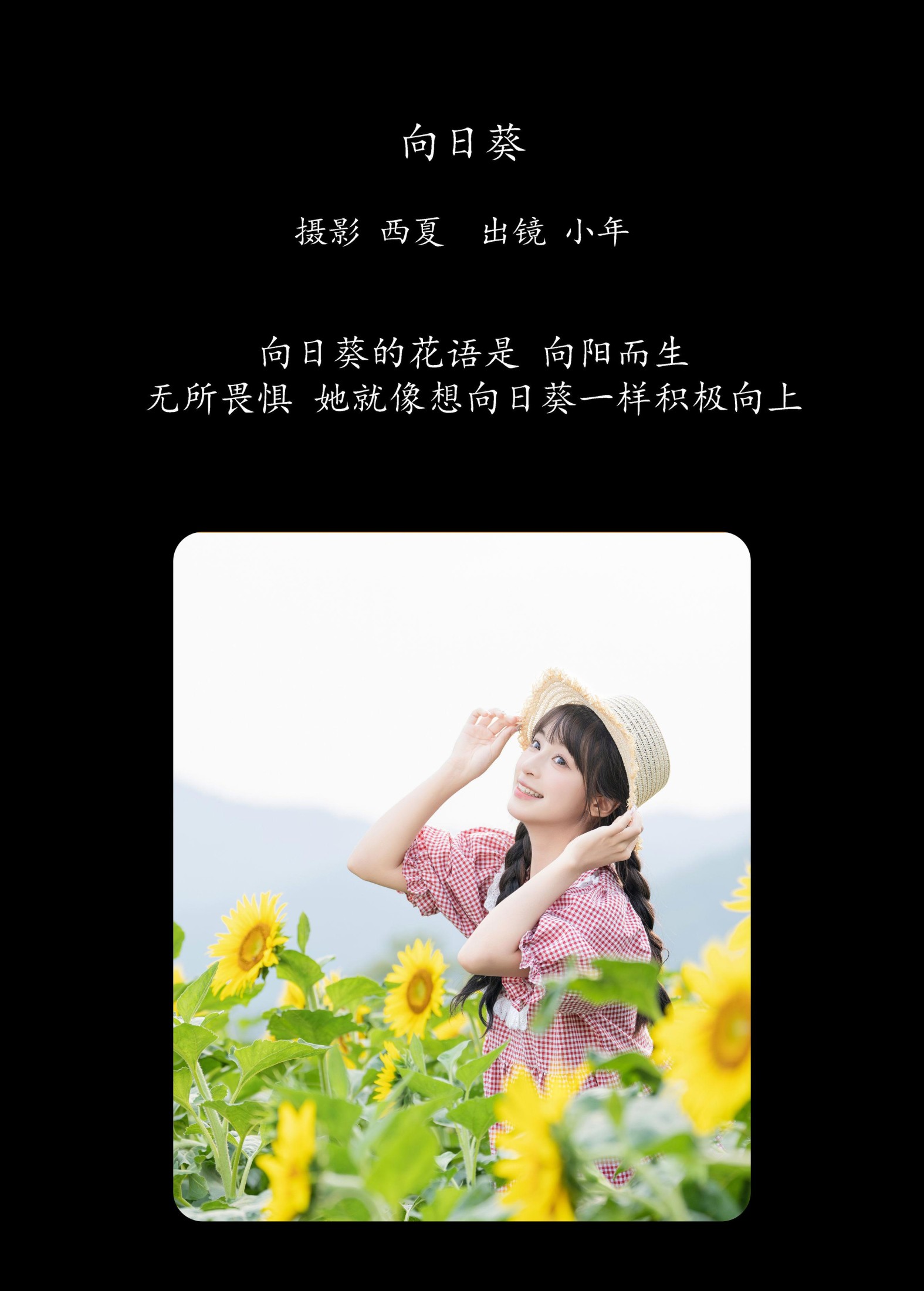 夏芋小年 – 《向日葵》[30P]