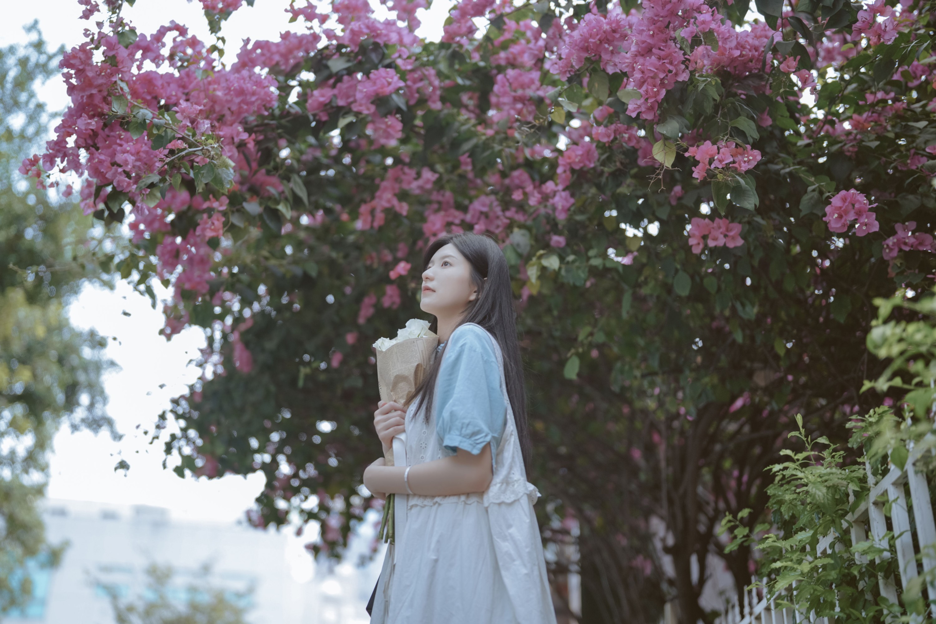 不爱喝水的阿水_ – 《如烟》[23P]