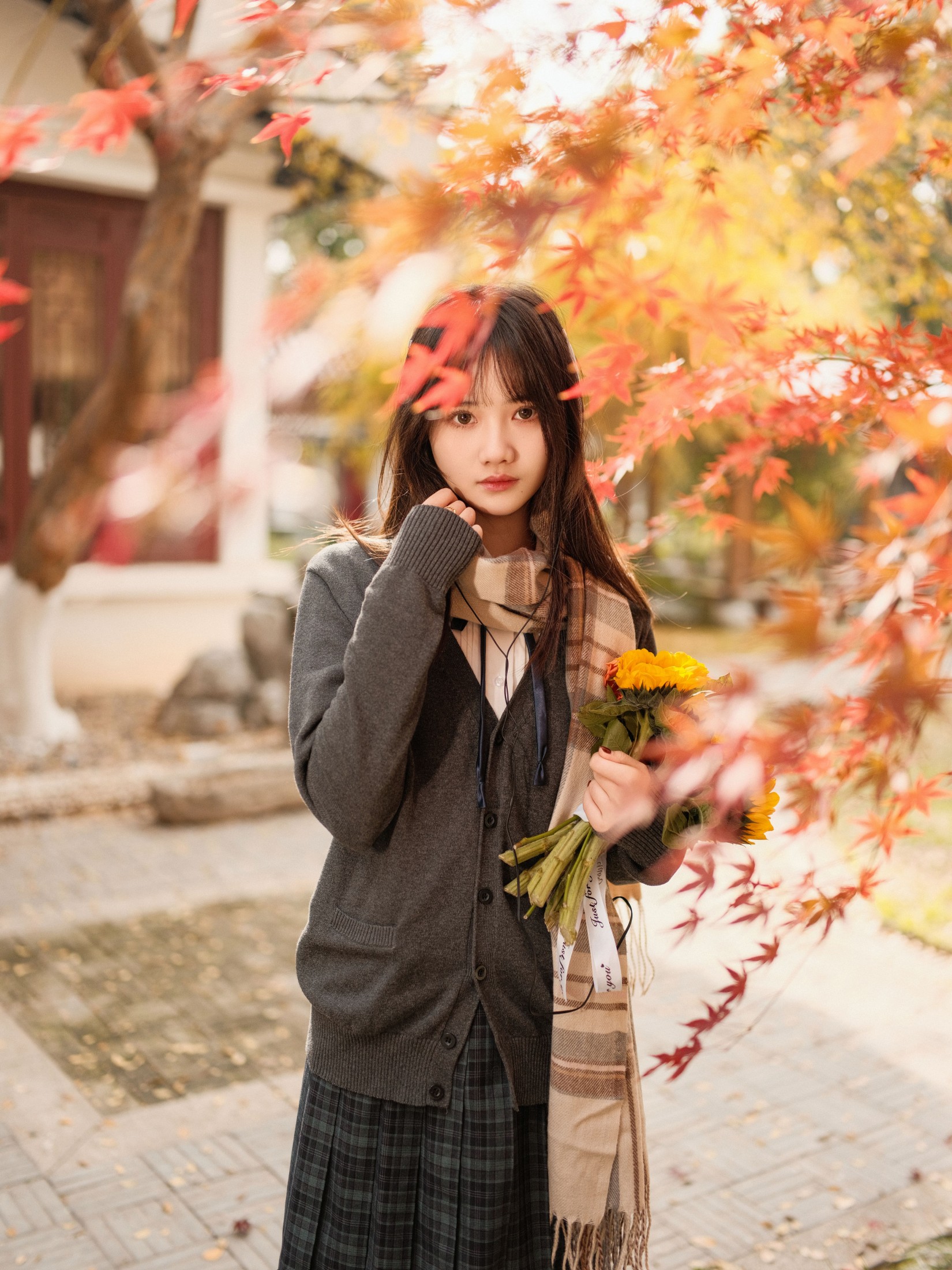 不许翘二郎腿 – 《枫叶醉人颜》[23P]