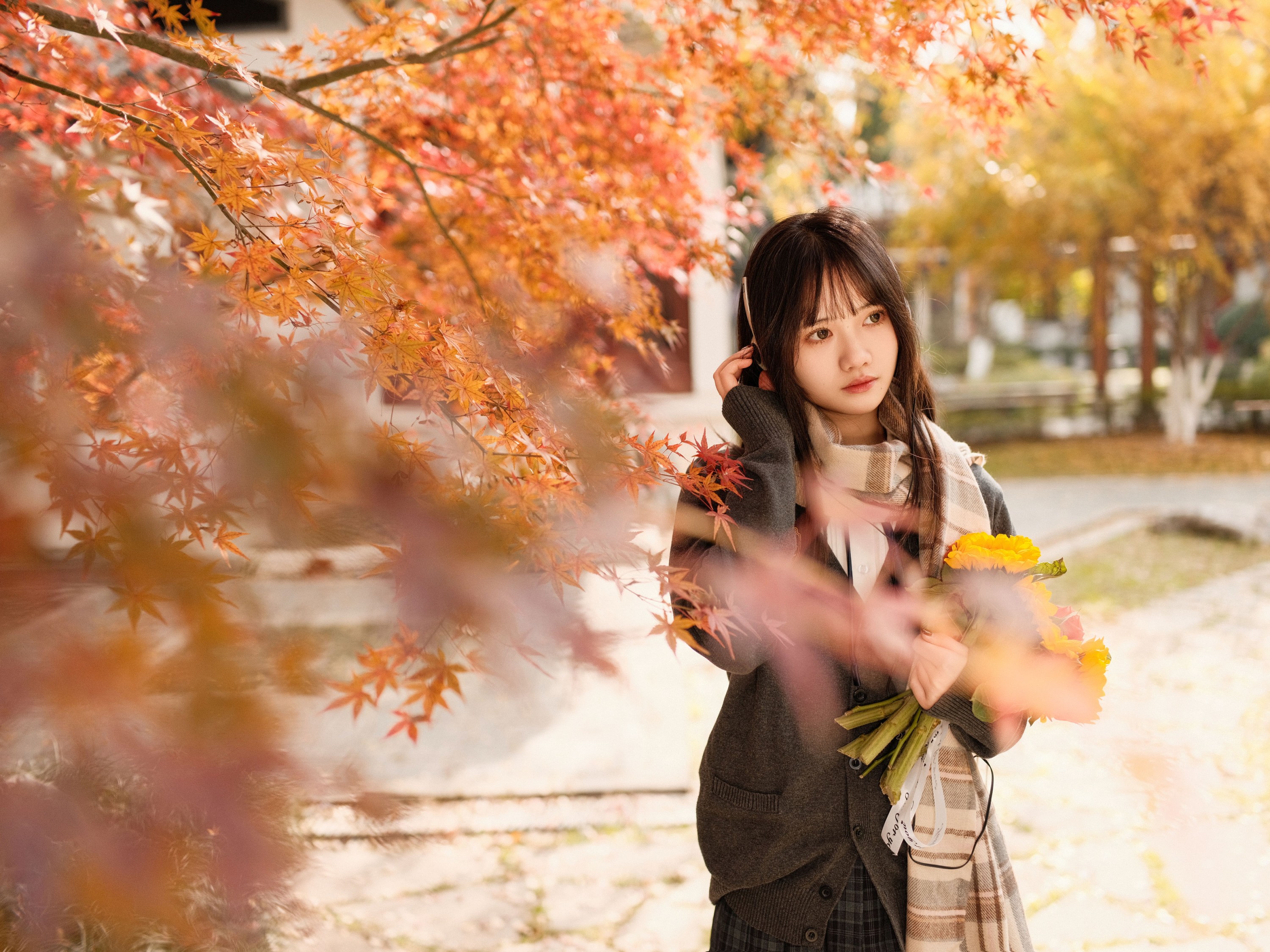 不许翘二郎腿 – 《枫叶醉人颜》[23P]