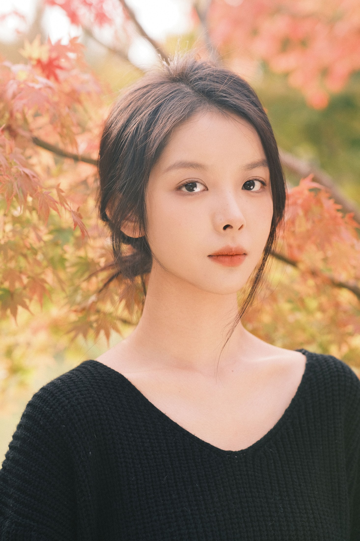 雪雪 – 《秋枫》[20P]