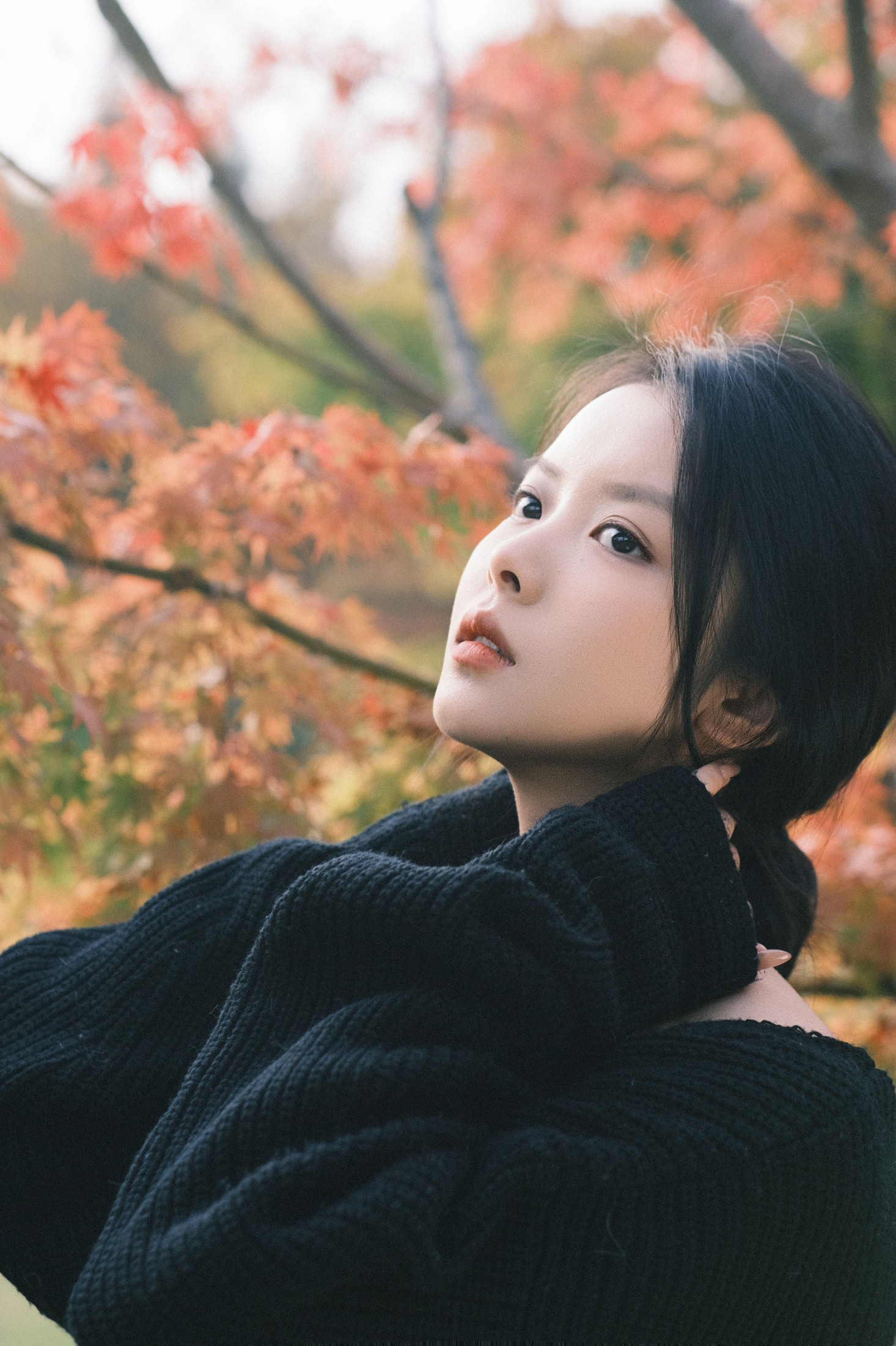 雪雪 – 《秋枫》[20P]