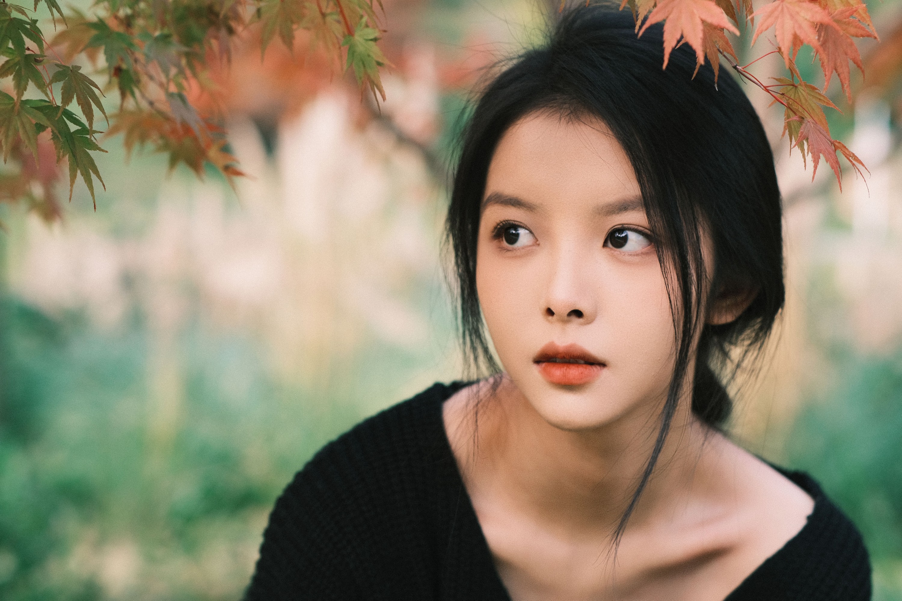 雪雪 – 《秋枫》[20P]