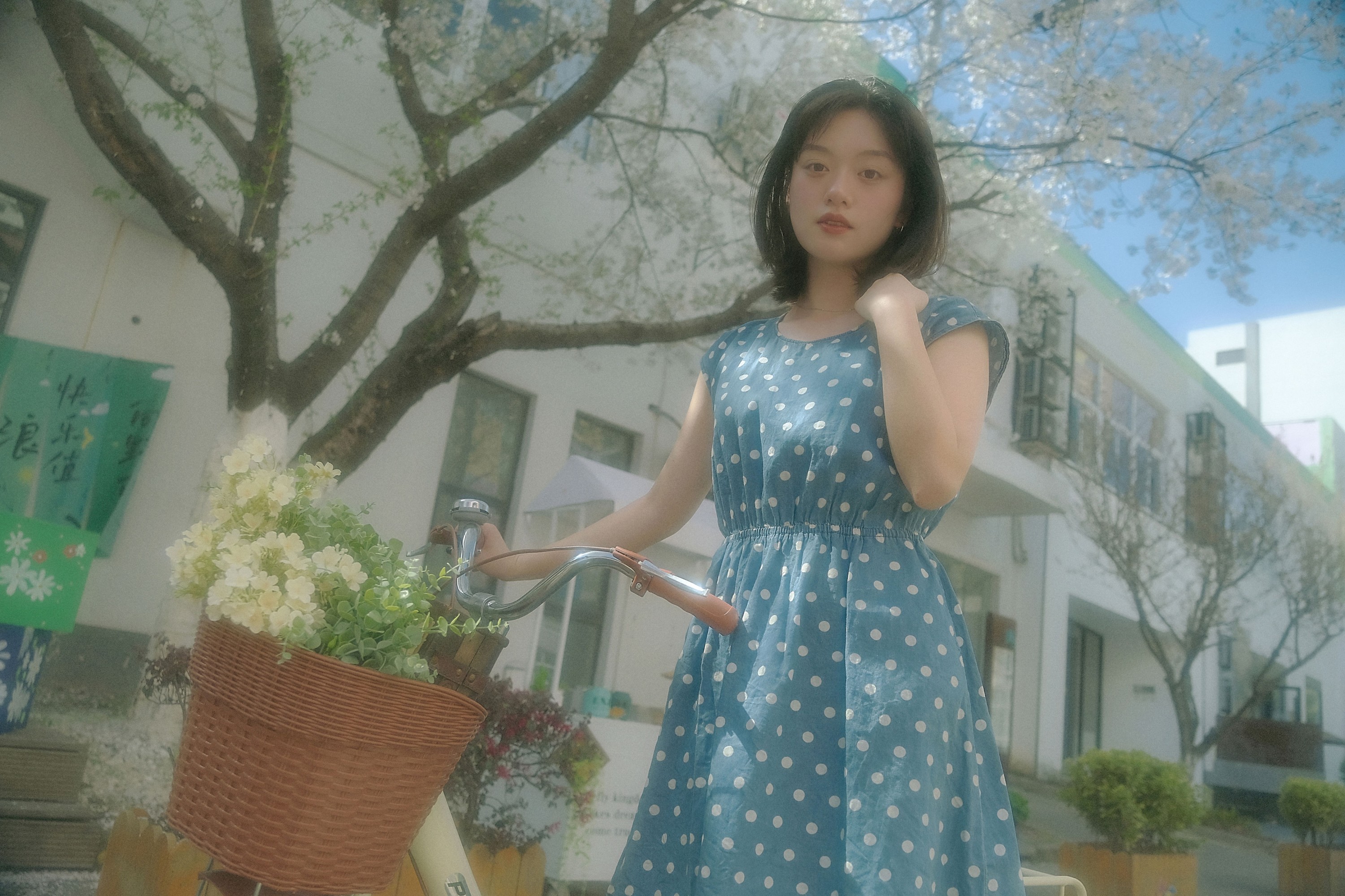 鑫鑫 – 《春天的花是冬天的梦》[23P]