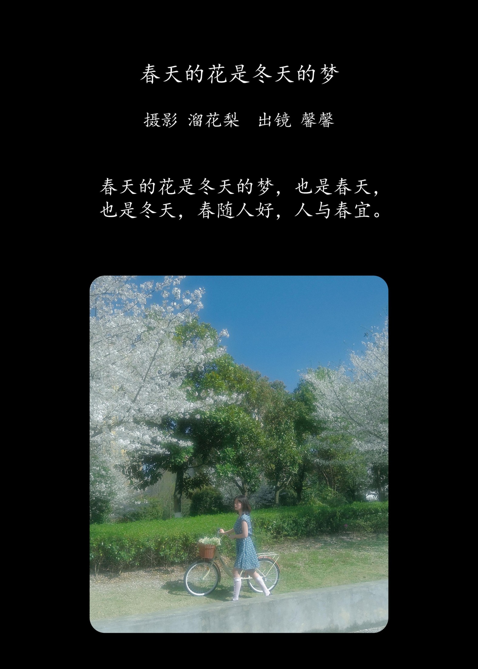 鑫鑫 – 《春天的花是冬天的梦》[23P]
