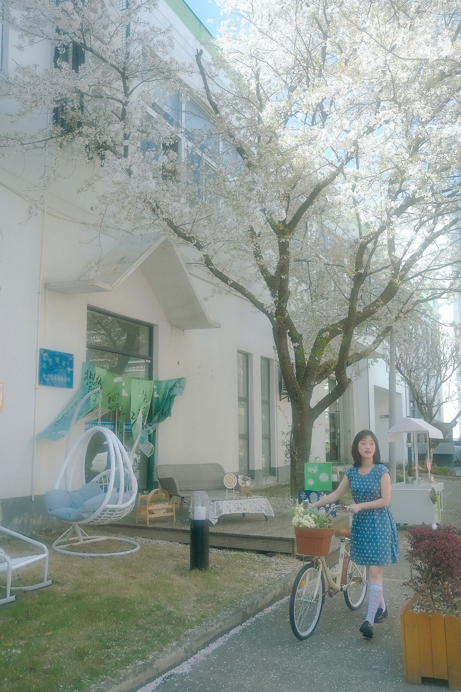 鑫鑫 – 《春天的花是冬天的梦》[23P]