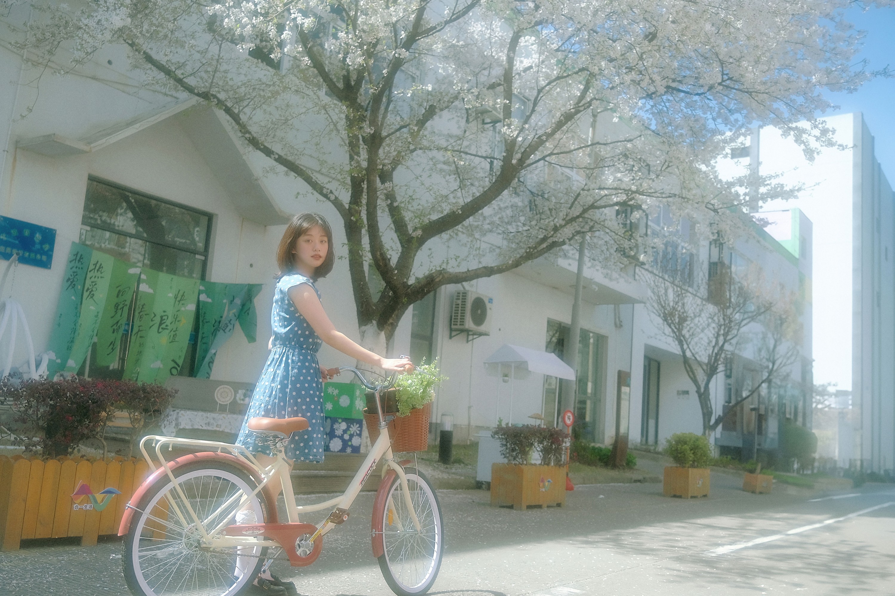 鑫鑫 – 《春天的花是冬天的梦》[23P]