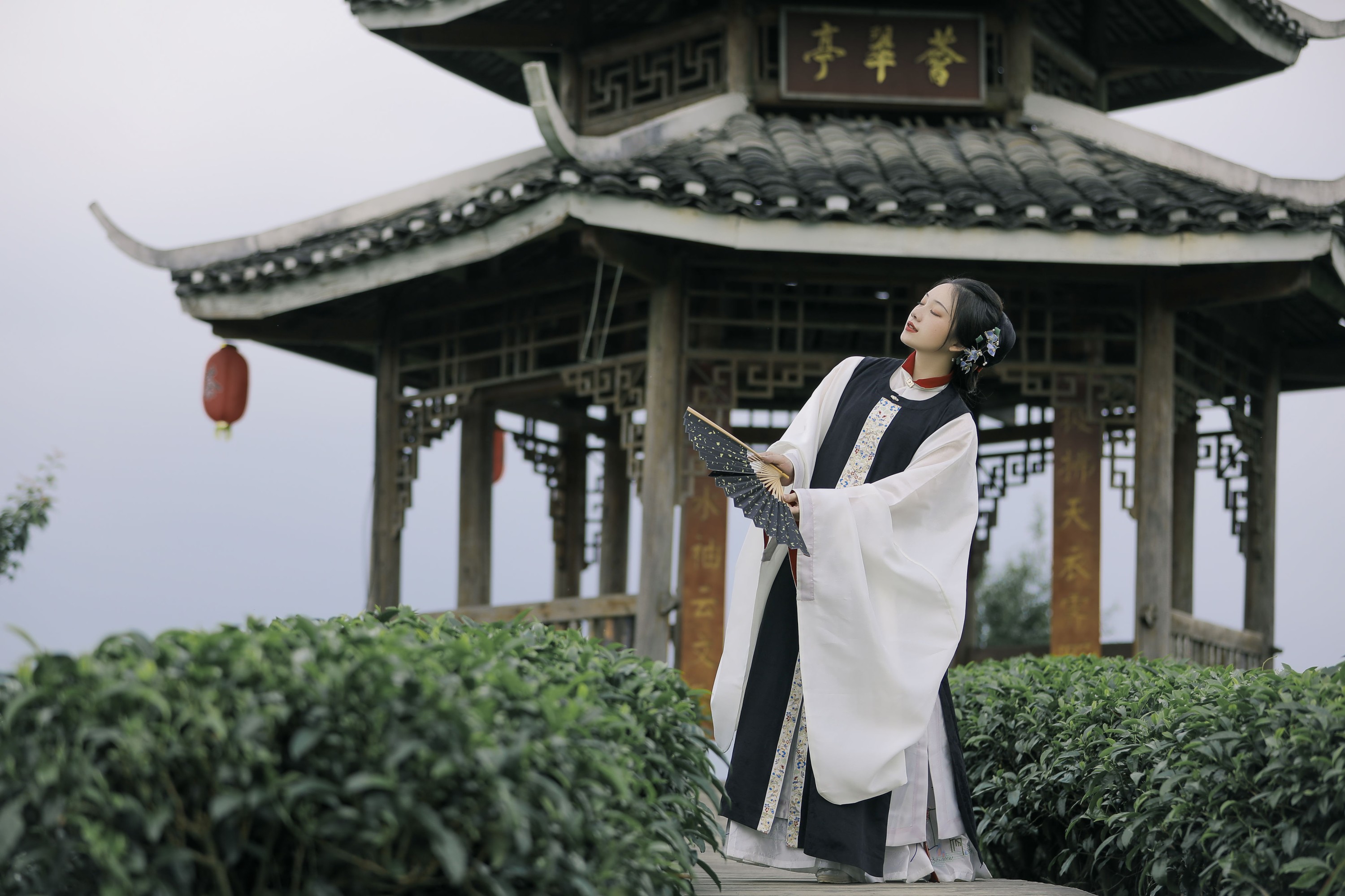 秋哒哒-- – 《清茗》[20P]