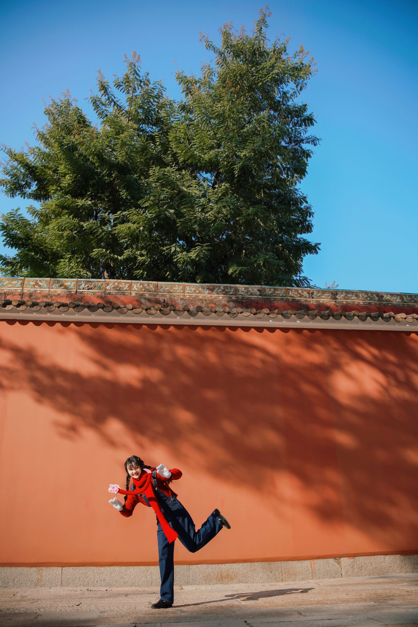 黛汐 – 《岁华新启，墨韵红墙间的少女绮梦》[50P]