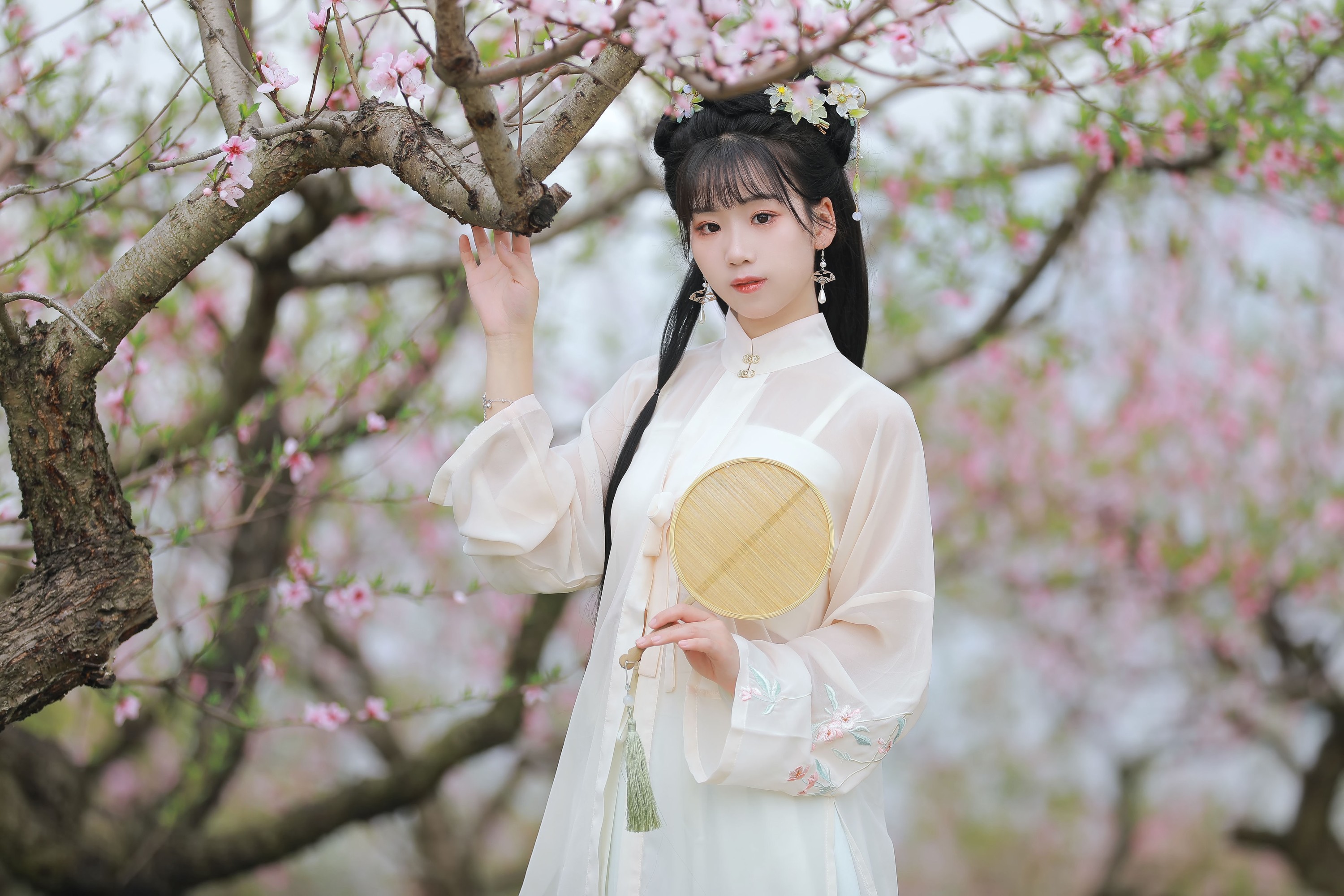 周周Ay – 《桃花》[22P]