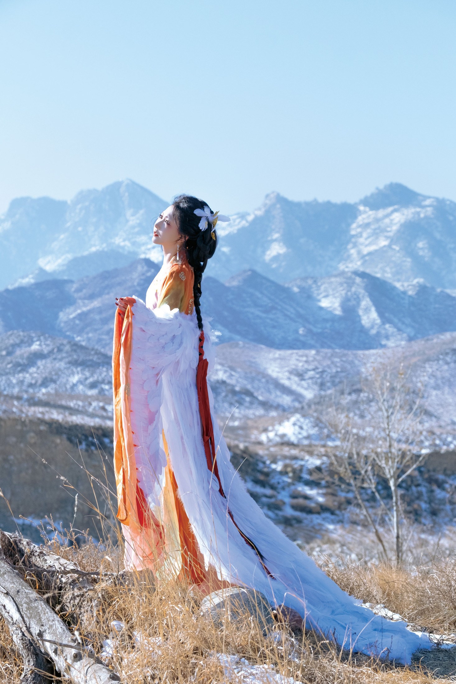 小贝壳请不要放弃 – 《倾城》[24P]