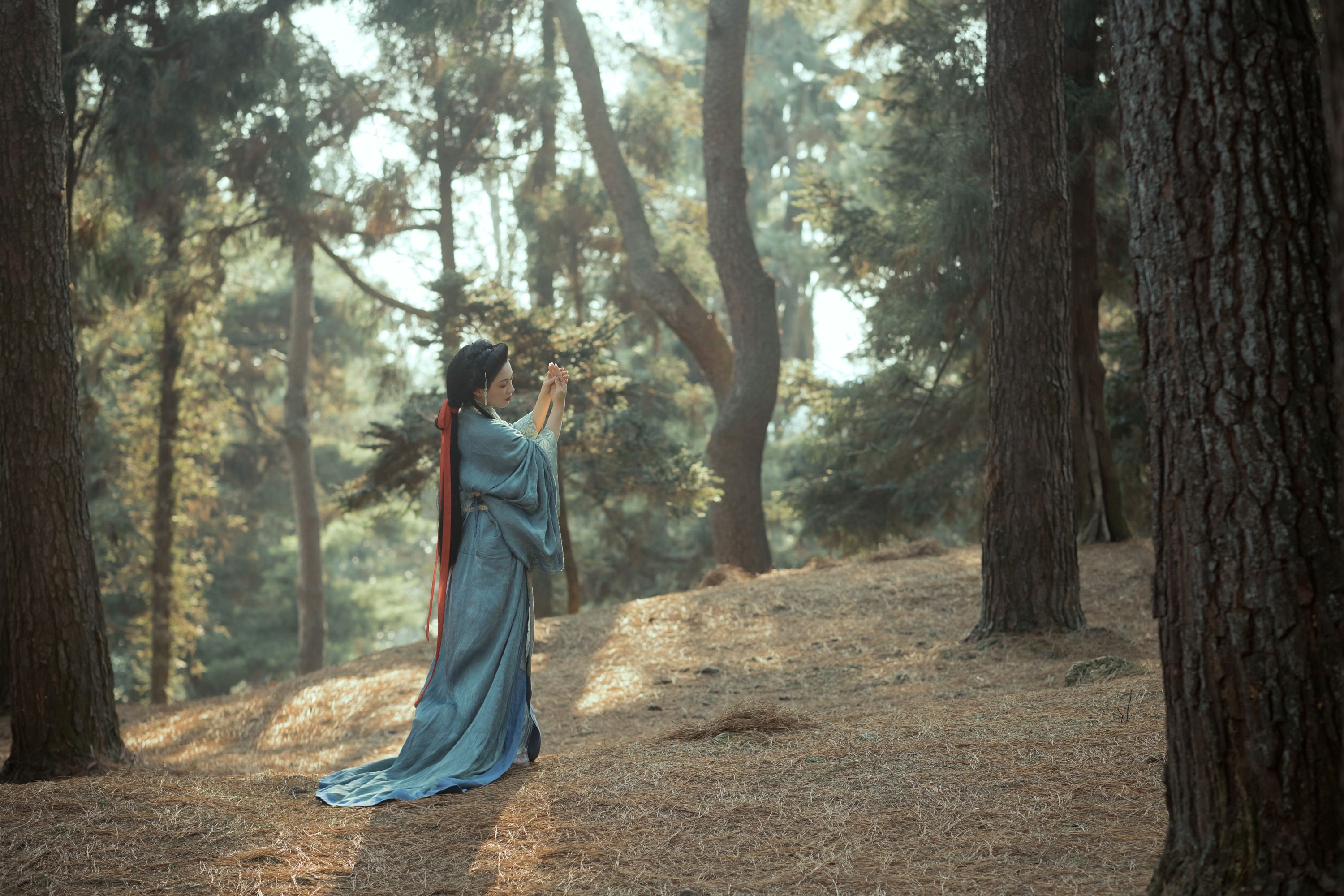 晚庭 – 《南有乔木》[41P]