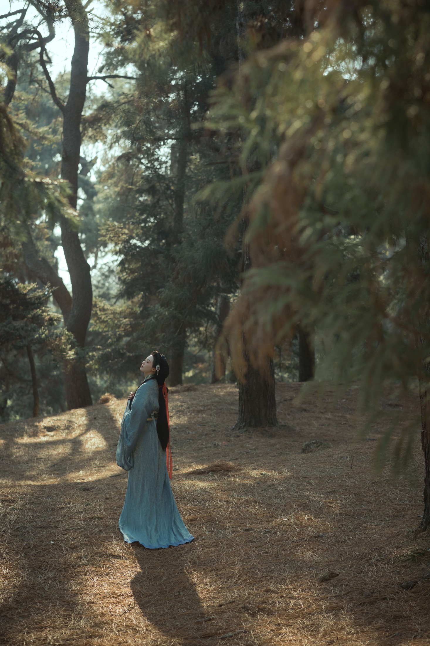 晚庭 – 《南有乔木》[41P]