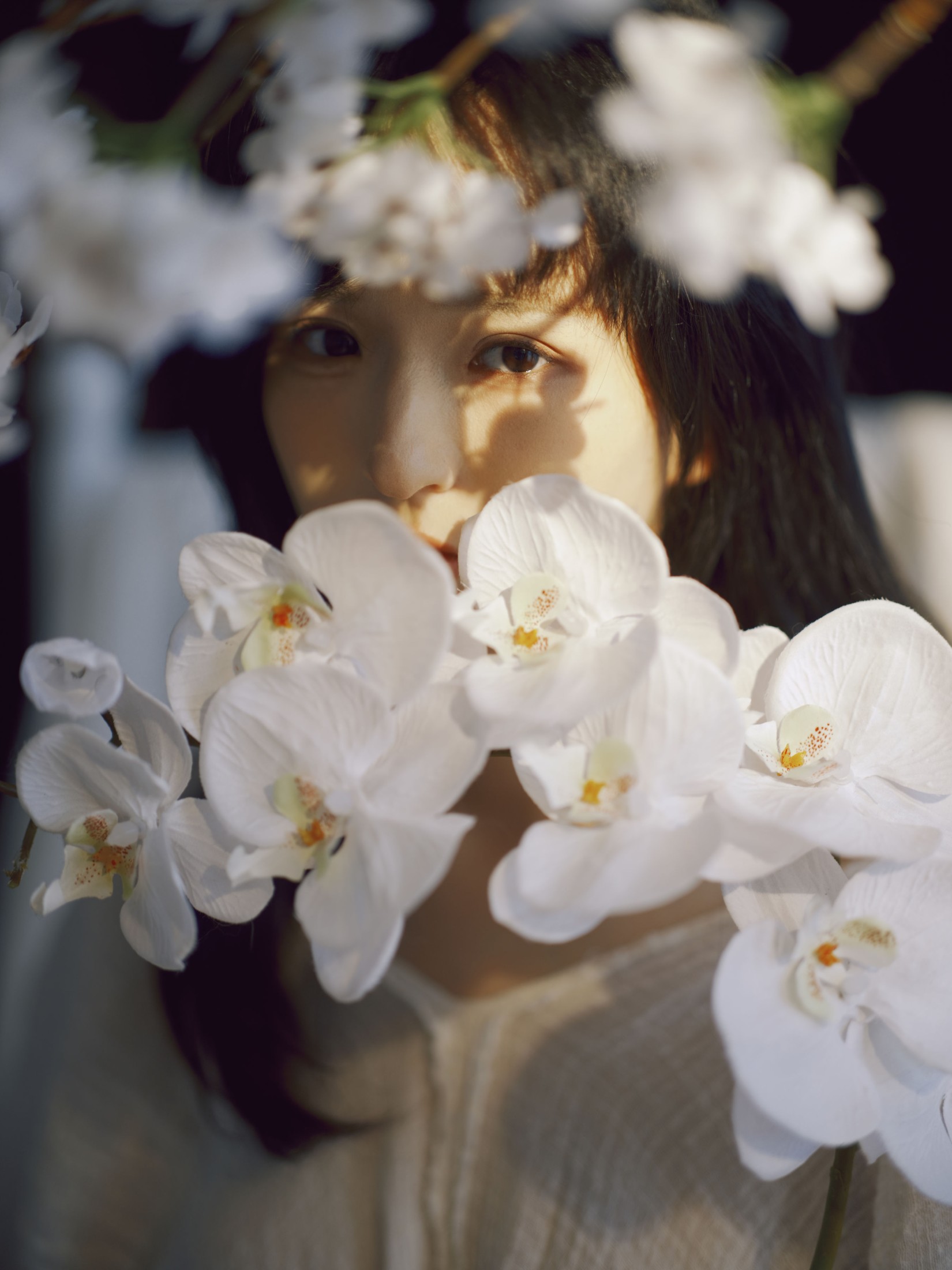 Maoqi – 《白鸽》[22P]