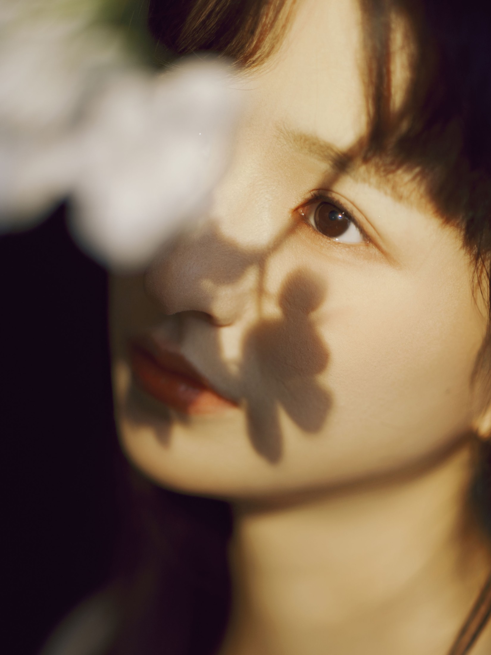 Maoqi – 《白鸽》[22P]