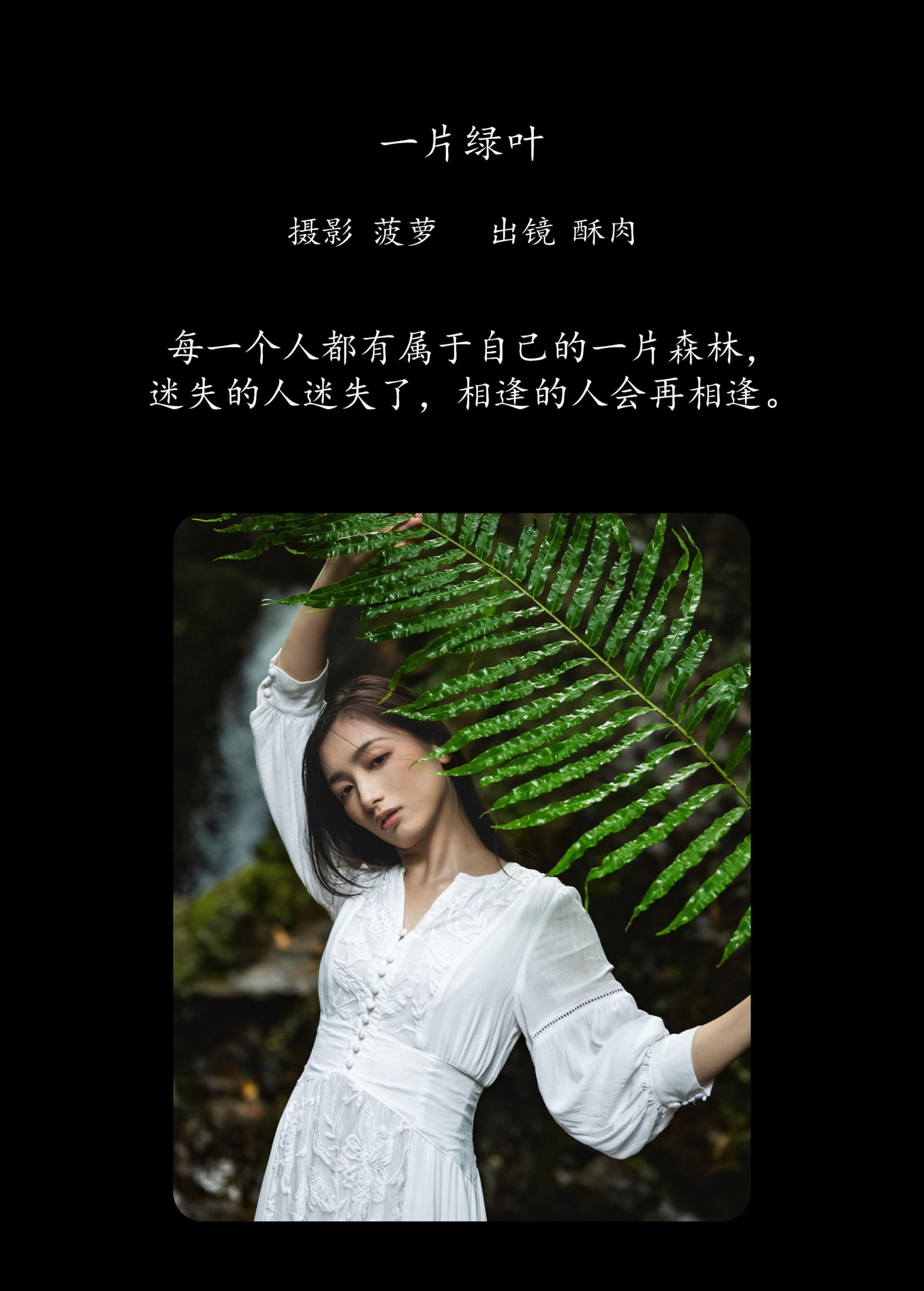 再来碗酥肉 – 《一片绿叶》[20P]