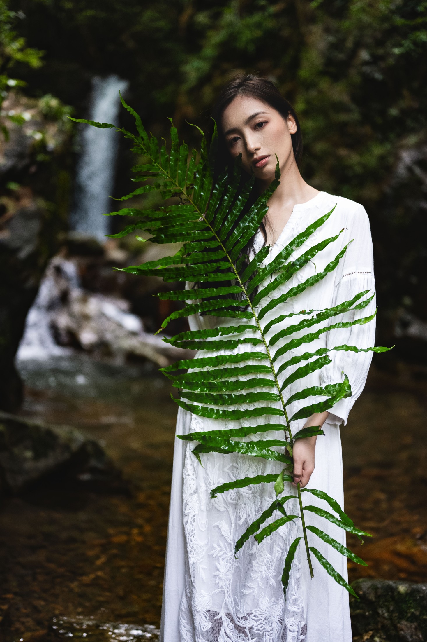 再来碗酥肉 – 《一片绿叶》[20P]