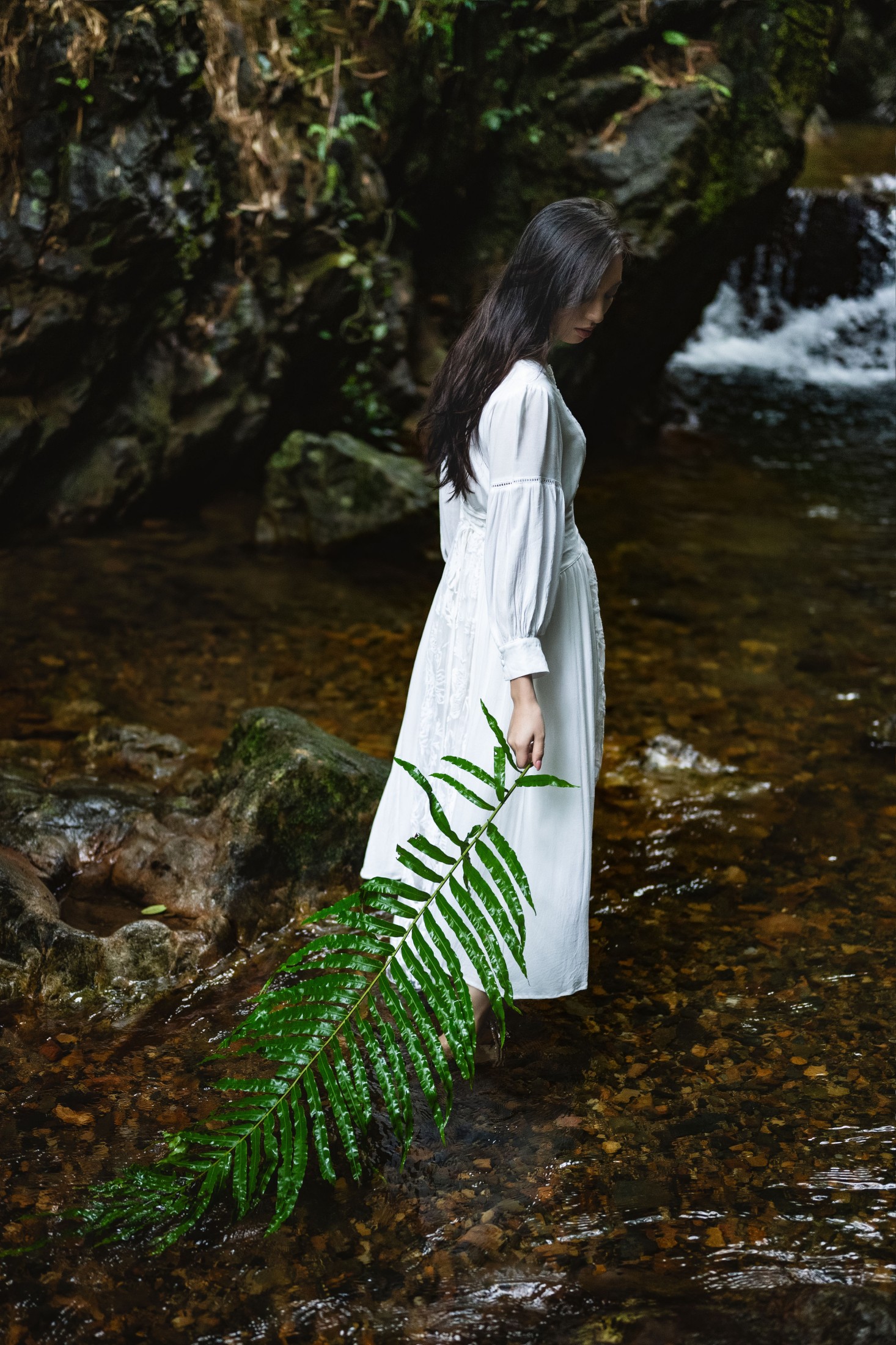 再来碗酥肉 – 《一片绿叶》[20P]