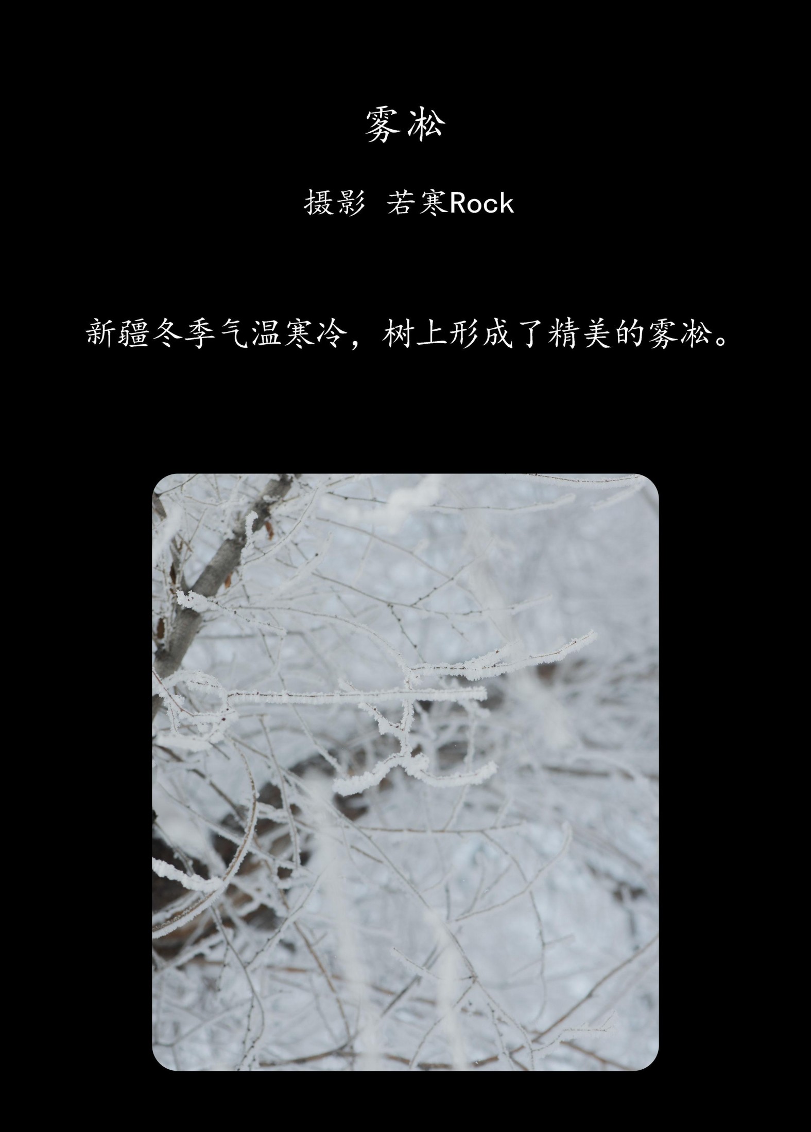 – 《雾凇》[15P]