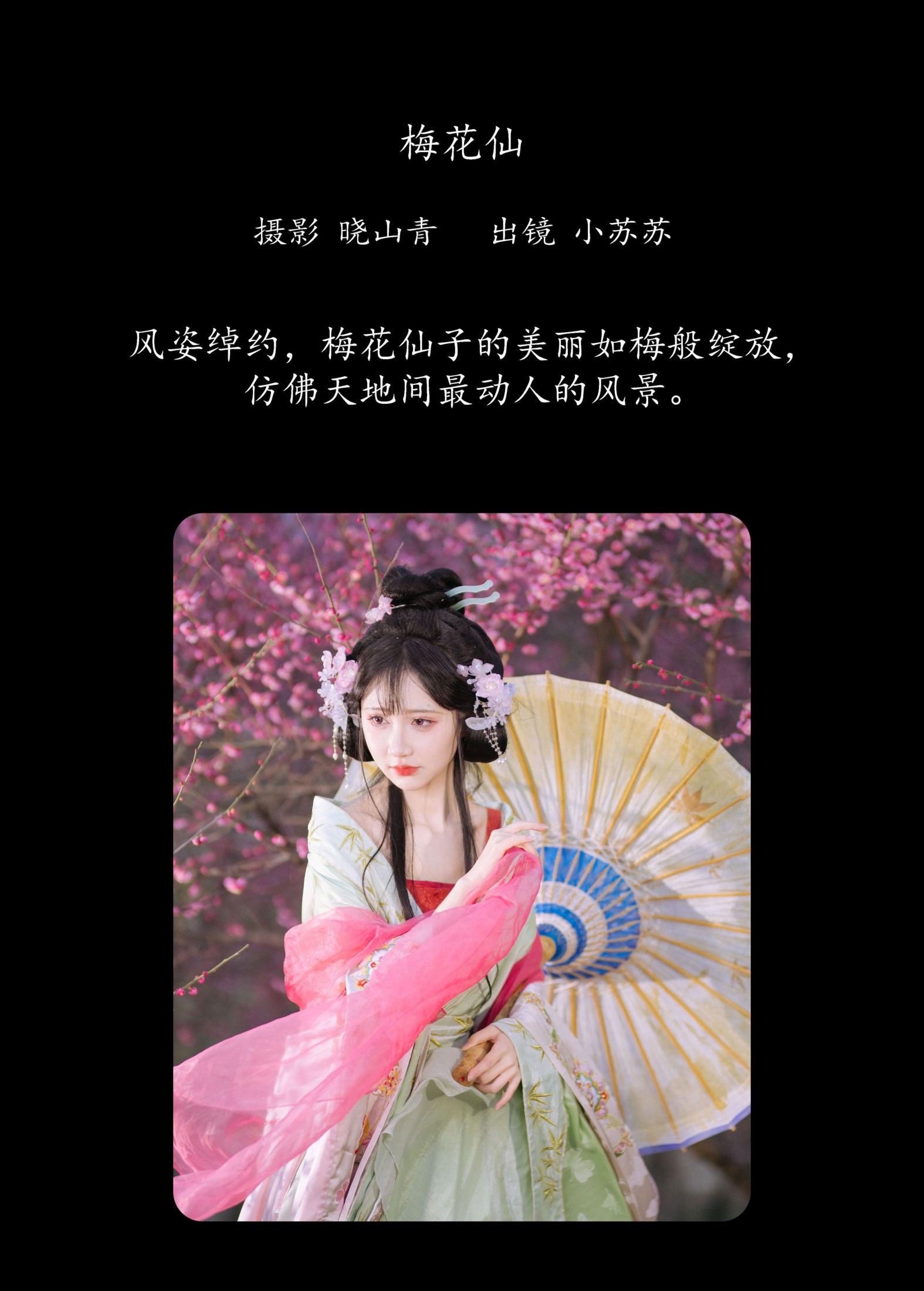 绮罗生的小苏苏 – 《梅花仙》[21P]