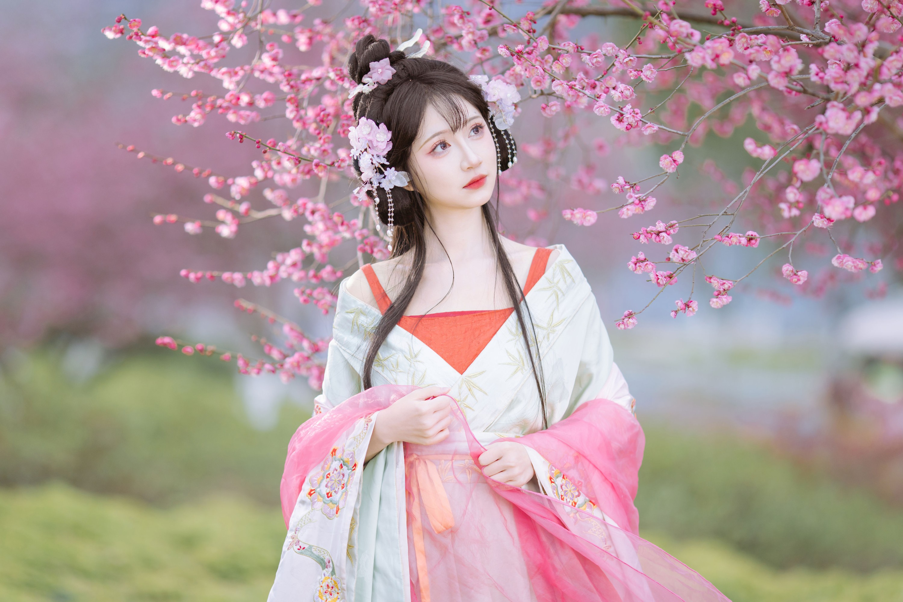 绮罗生的小苏苏 – 《梅花仙》[21P]