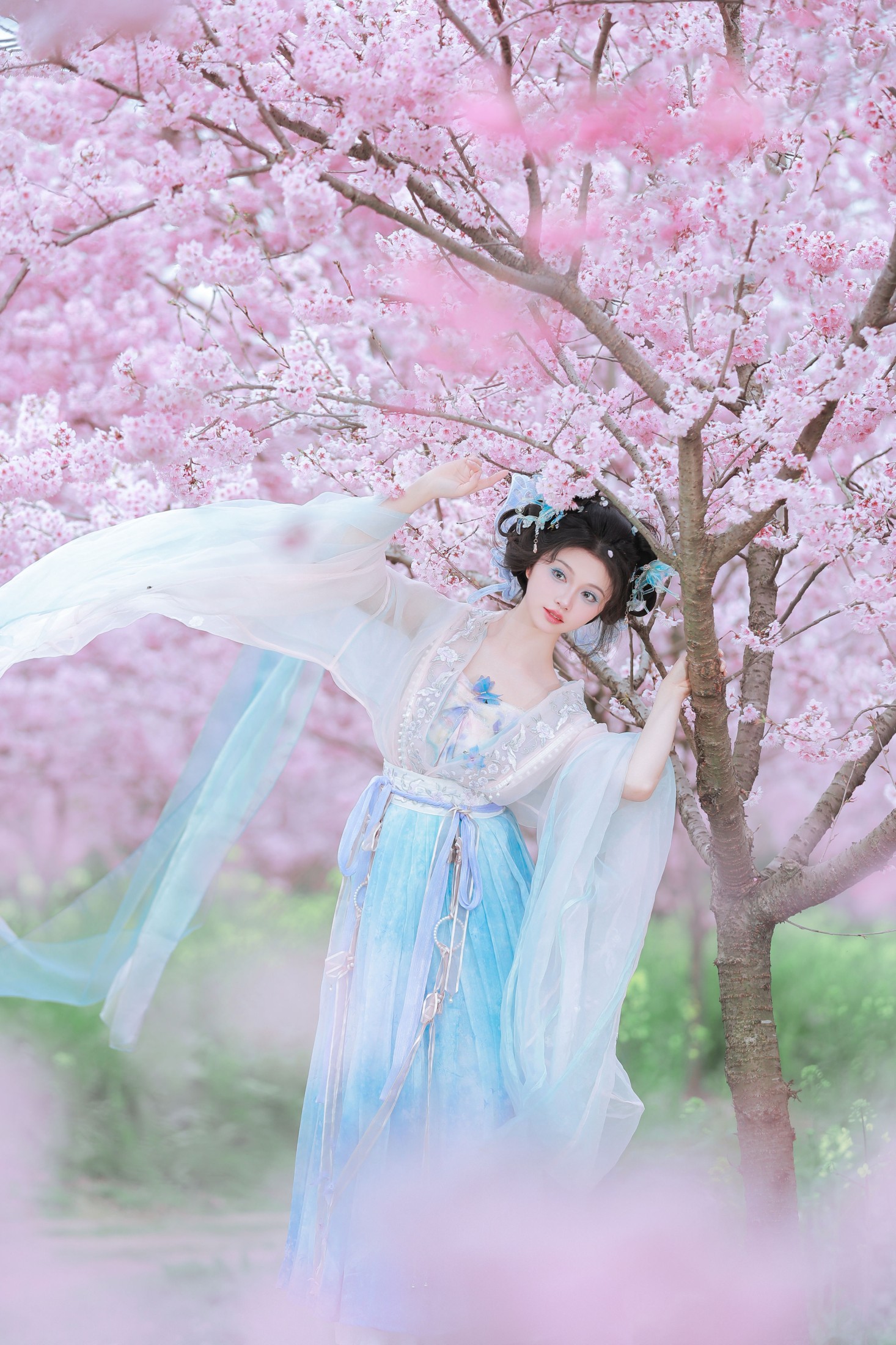 十元zz – 《樱舞蝶衣》[24P]