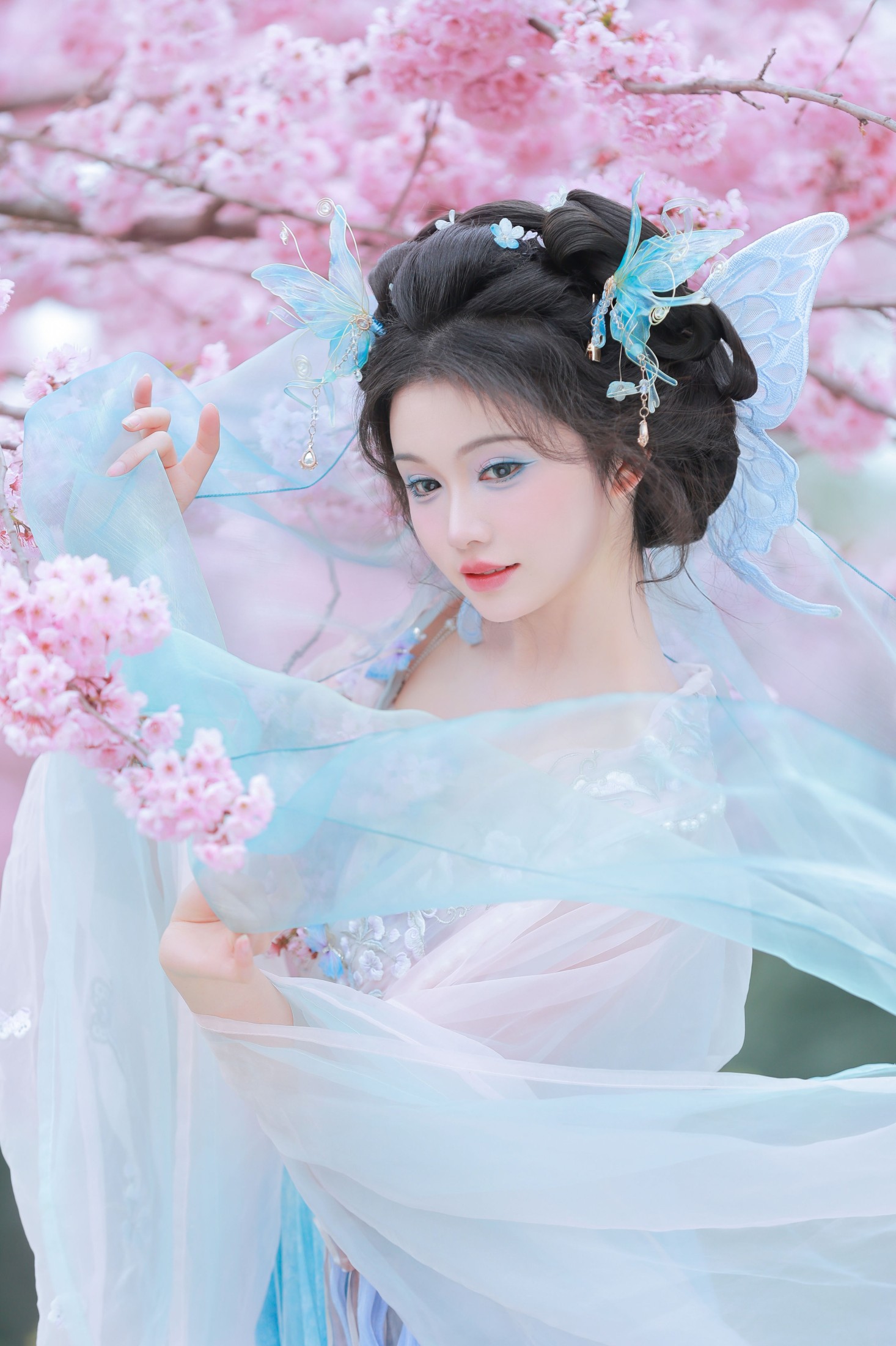 十元zz – 《樱舞蝶衣》[24P]