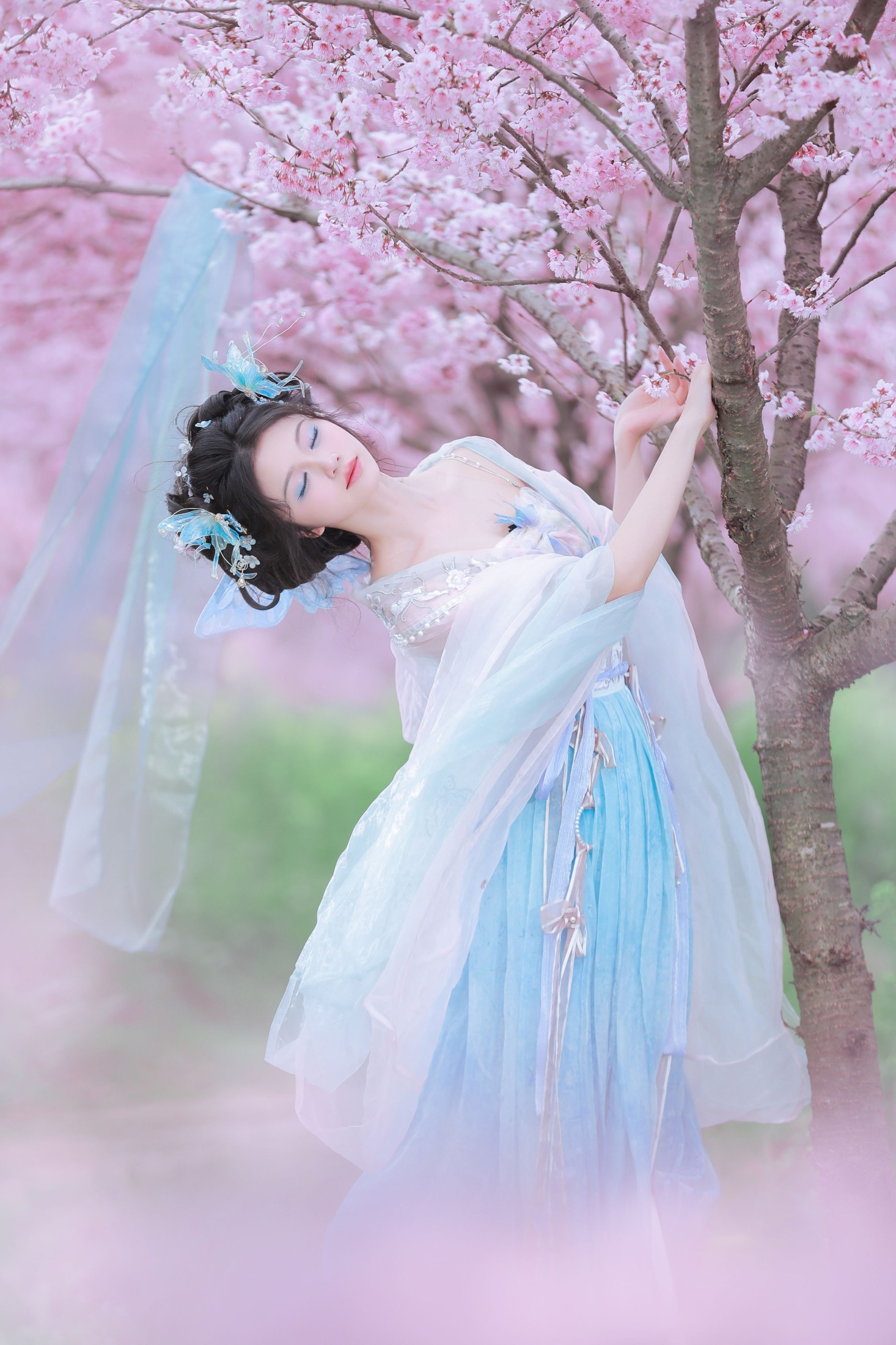 十元zz – 《樱舞蝶衣》[24P]