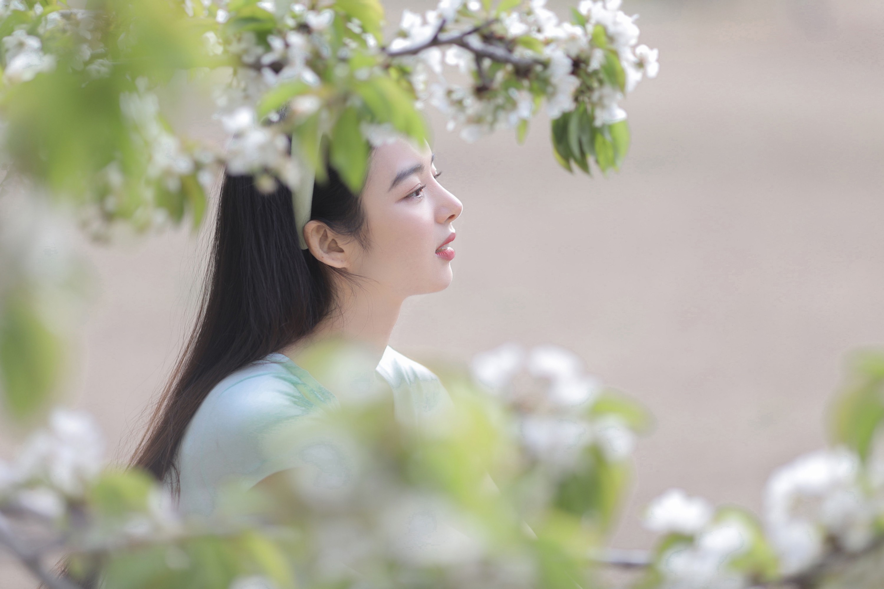 郑楠汐 – 《日漫樱花》[16P]