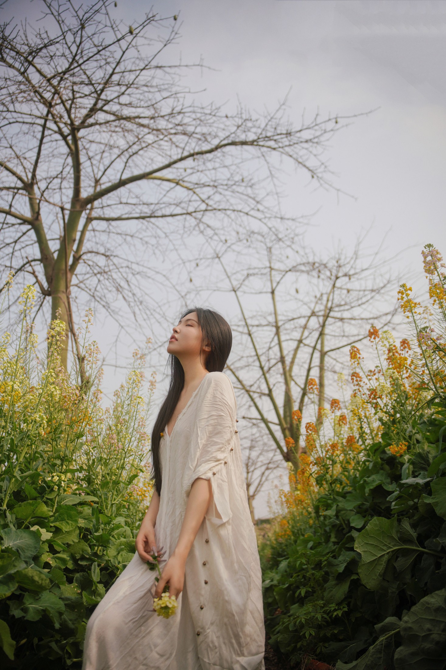 依依 – 《花海秘语，少女的绿野绮梦》[27P]