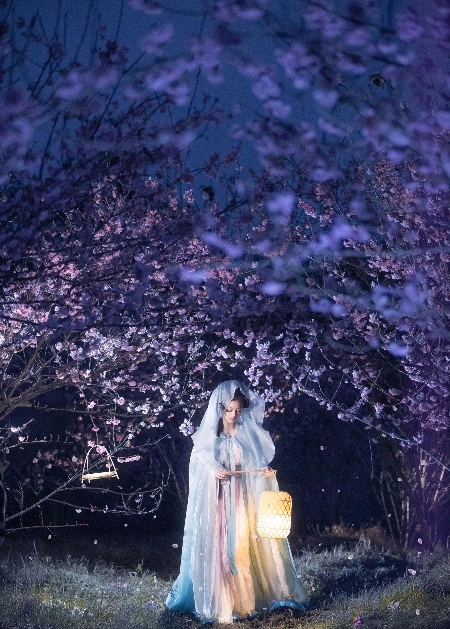 七霓巳猫- – 《梦遣看花人》[34P]