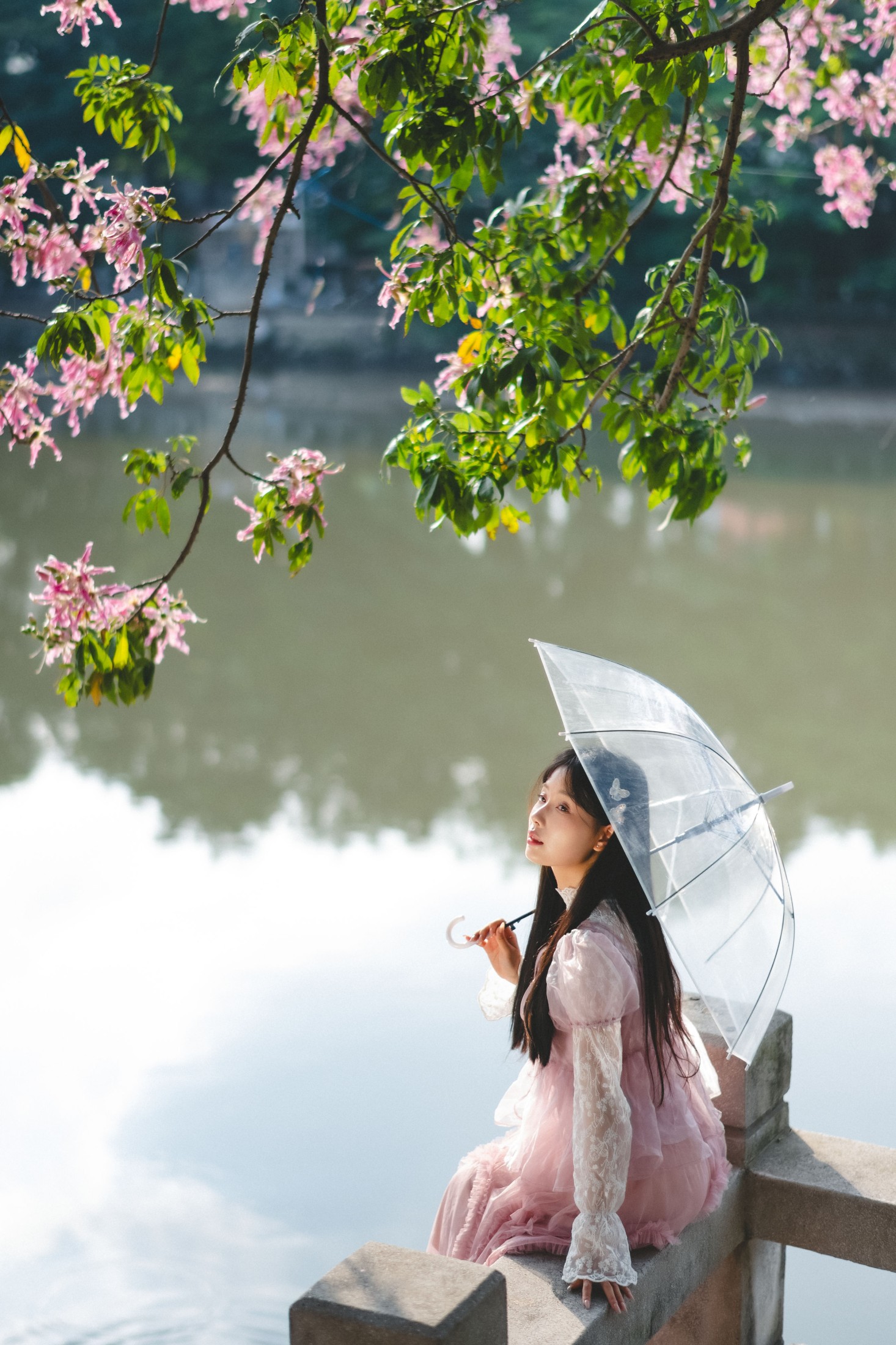 南伊 – 《花样年华》[22P]